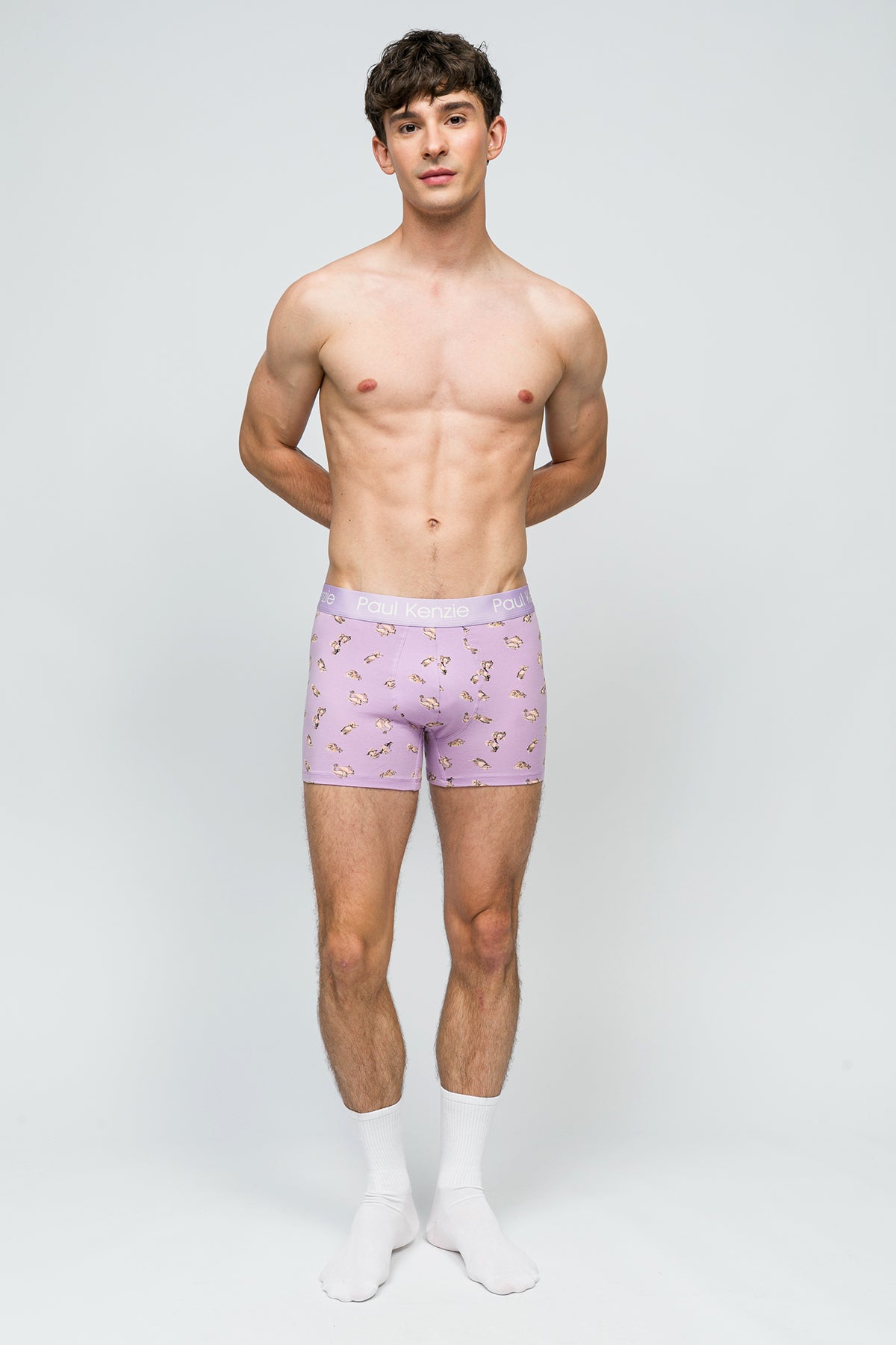Desenli Erkek Boxer - Otter