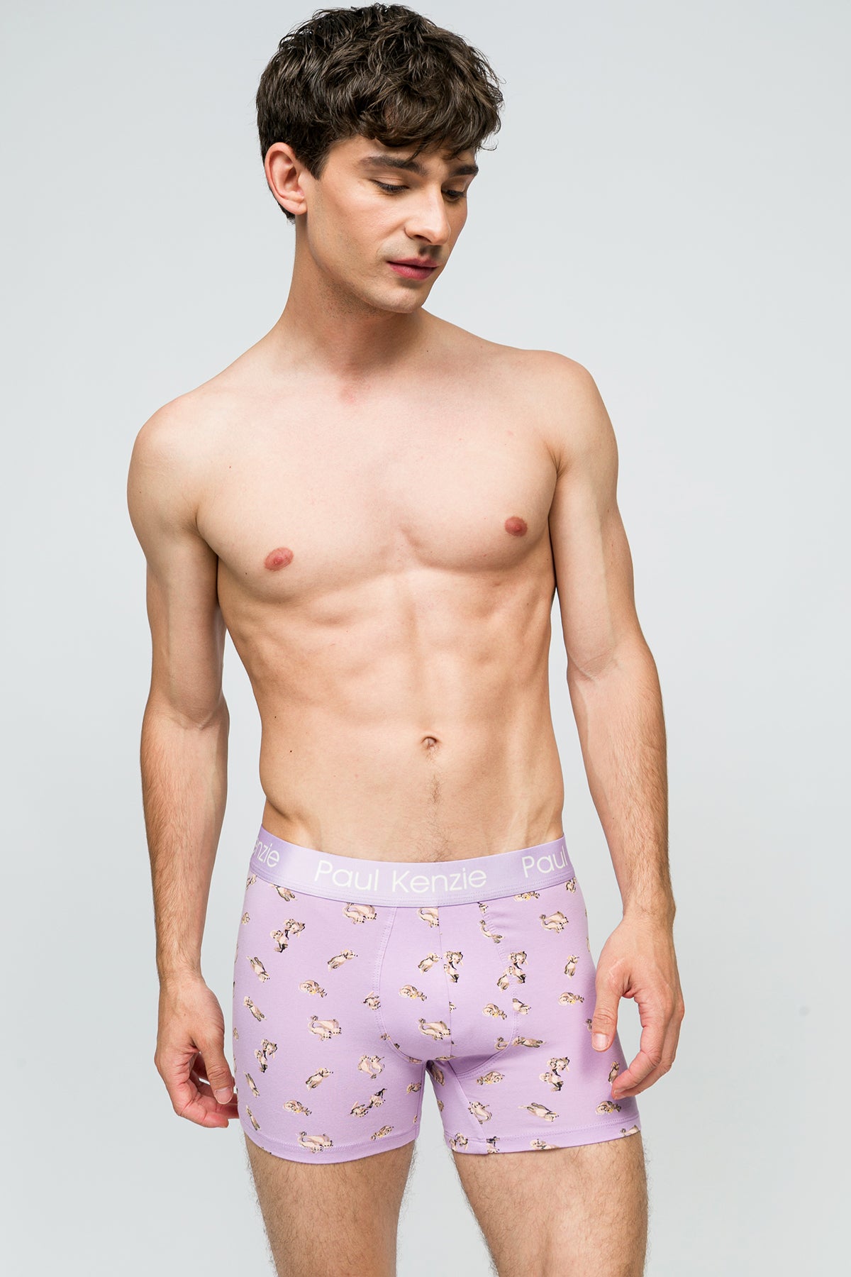 Desenli Erkek Boxer - Otter