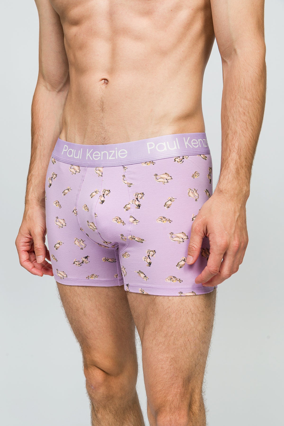 Desenli Erkek Boxer - Otter