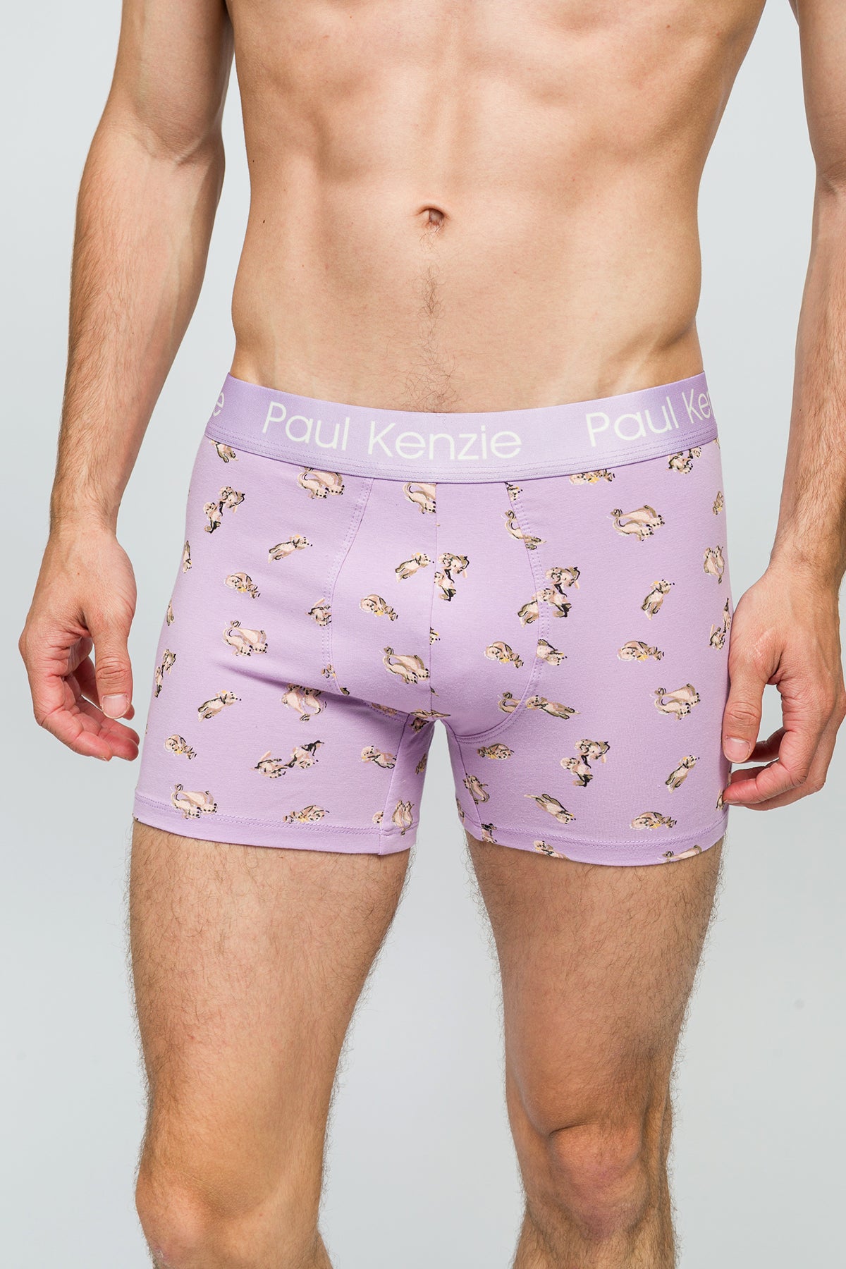 Desenli Erkek Boxer - Otter