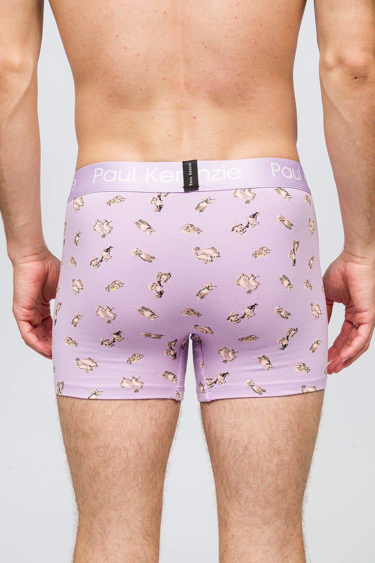 Desenli Erkek Boxer - Otter