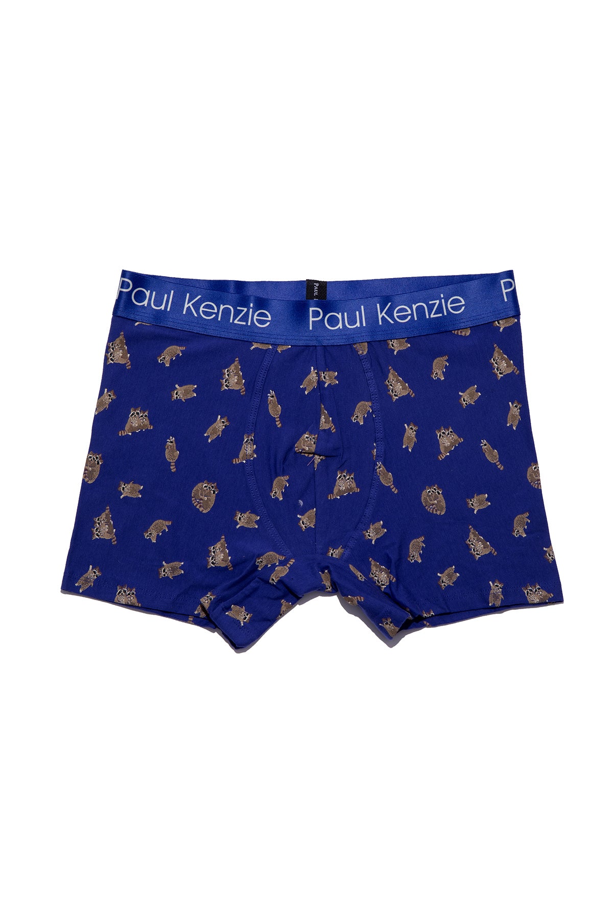 Desenli Erkek Boxer - Rakun