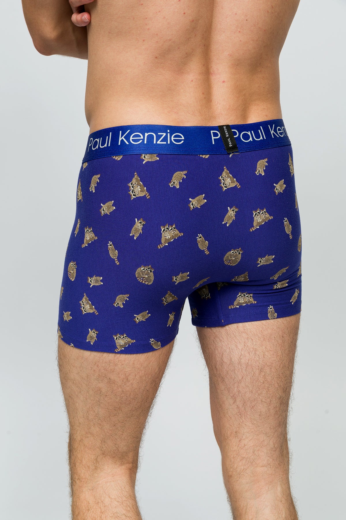 Desenli Erkek Boxer - Rakun