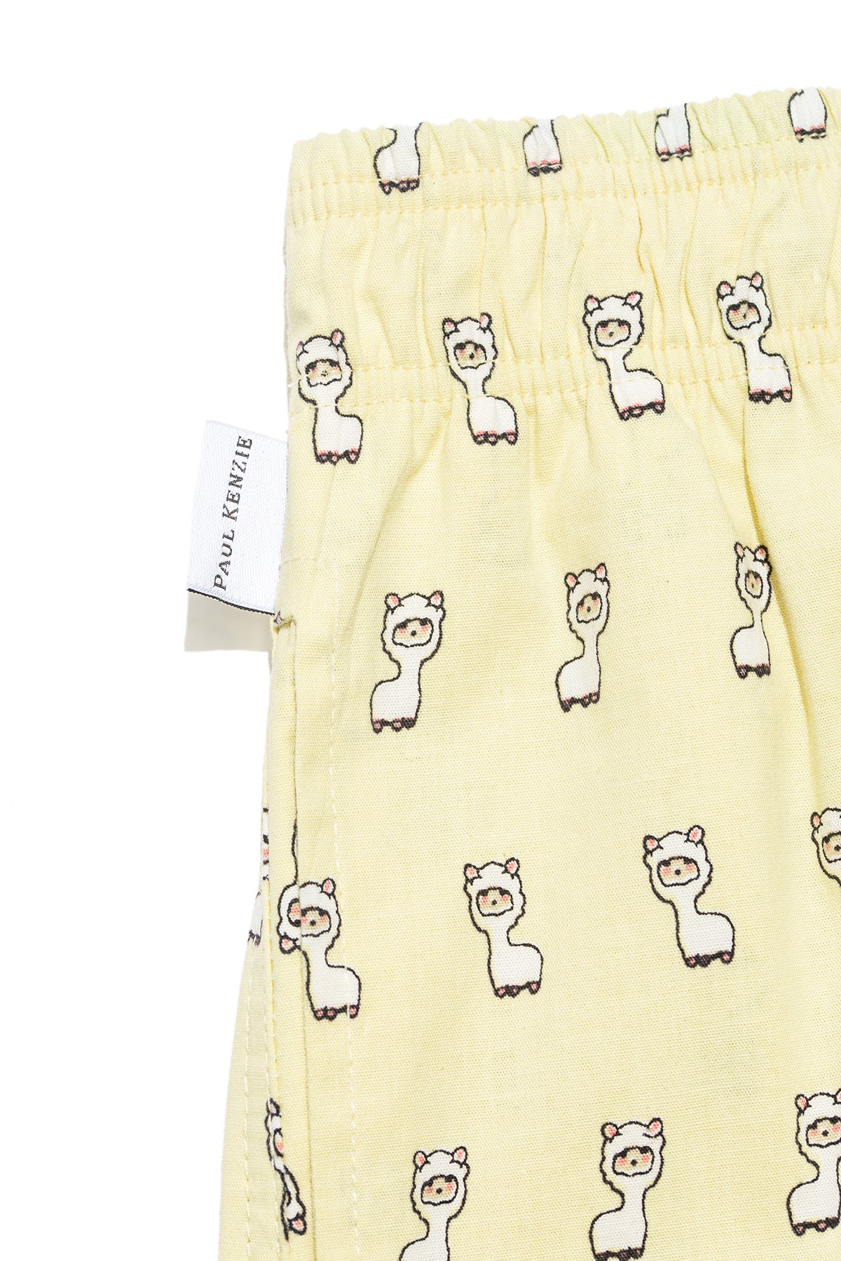 Desenli Erkek Ev Şort – Chill Space Collection – Lama