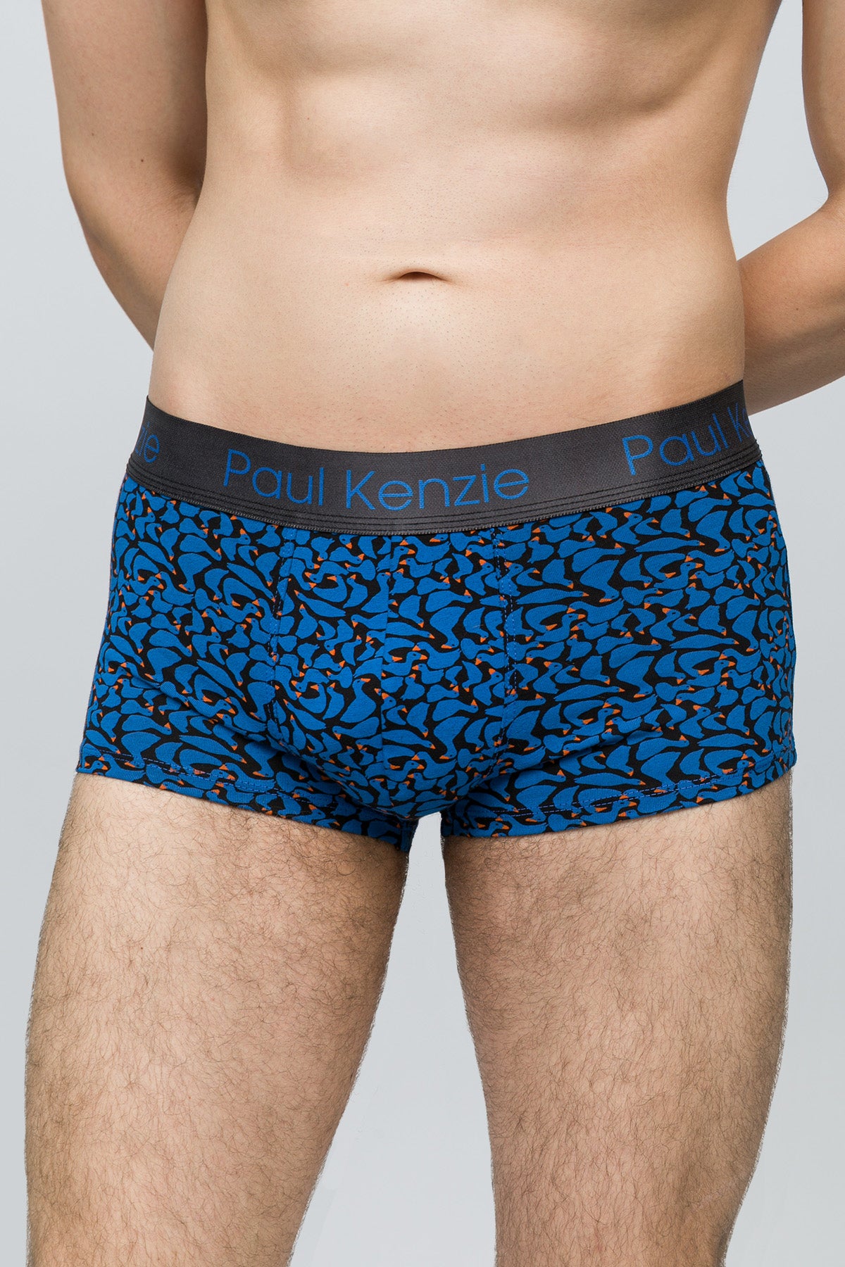 Desenli Erkek Trunk Boxer - Goose