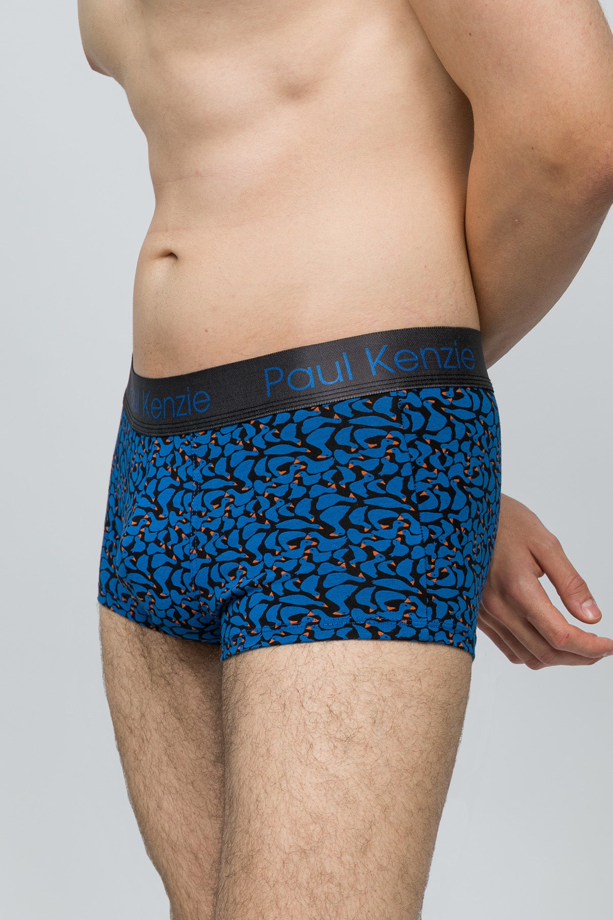 Desenli Erkek Trunk Boxer - Goose