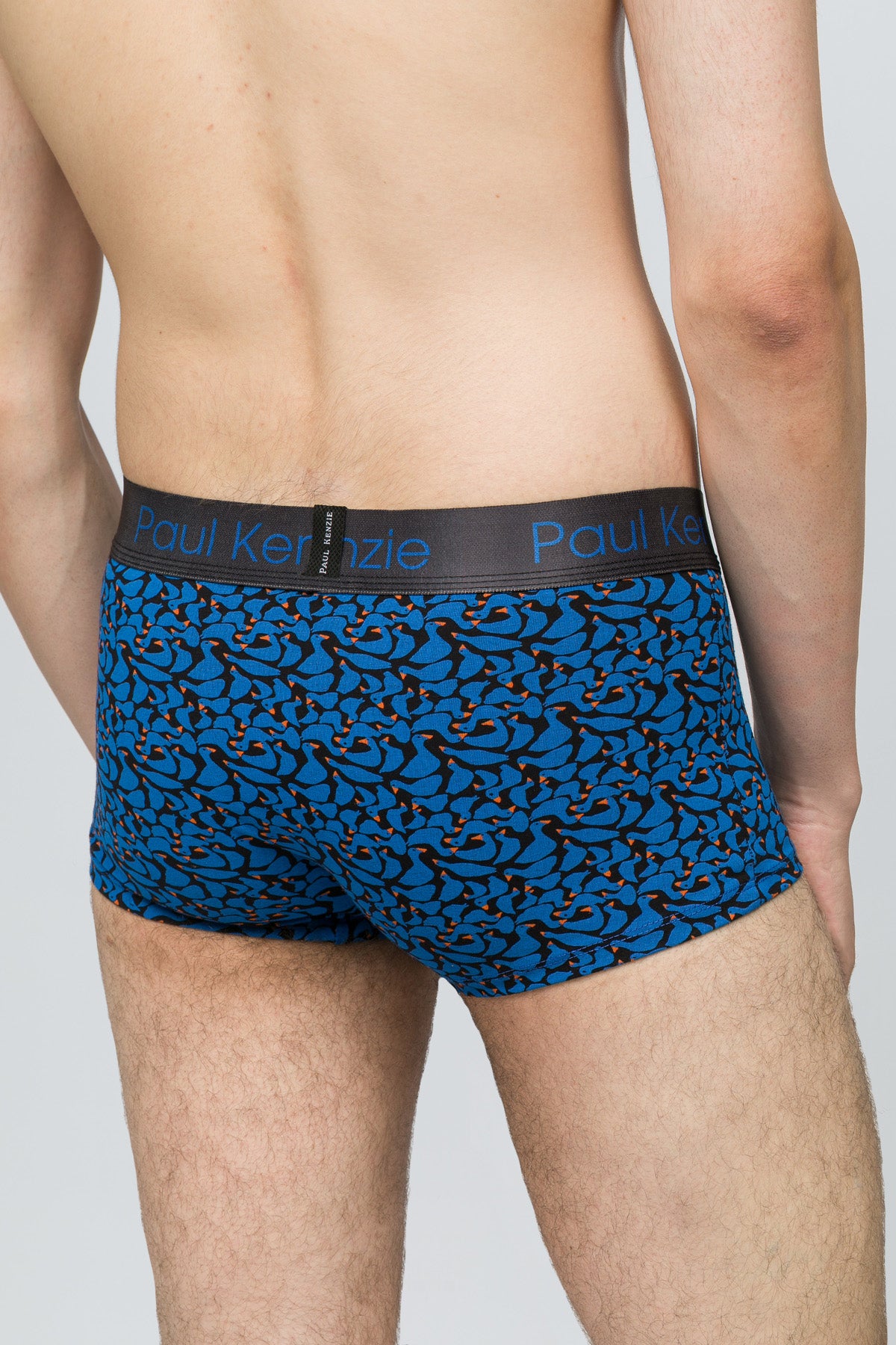 Desenli Erkek Trunk Boxer - Goose