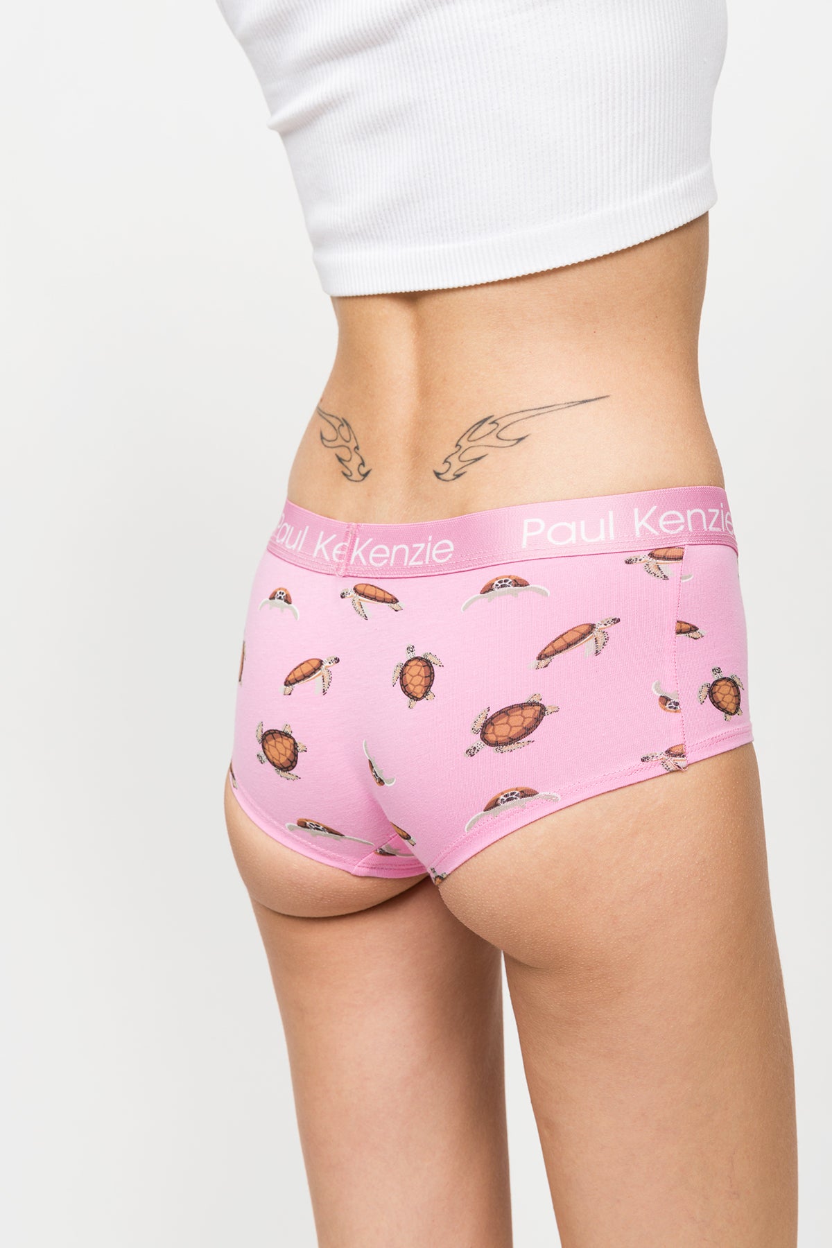 Desenli Kadın Boyshort Külot – Eco Characters – Turtley