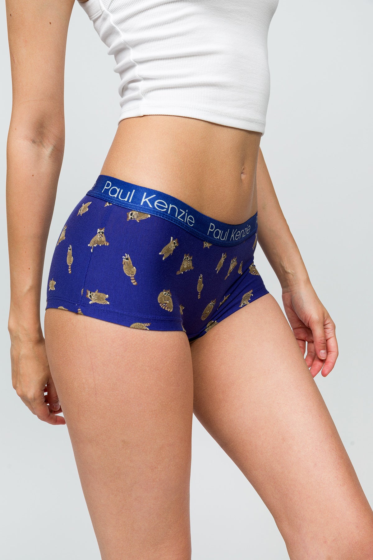 Desenli Kadın Boyshort Külot - Rakun