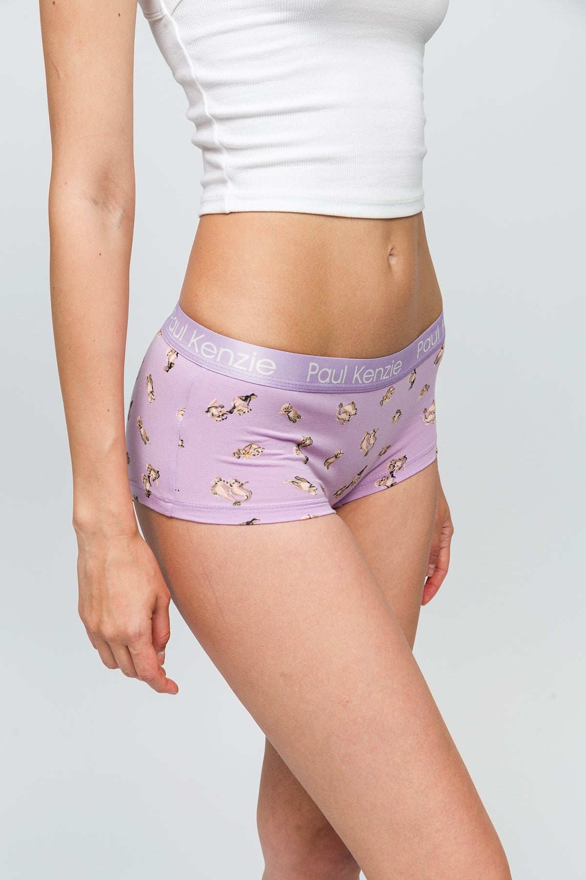 Desenli Kadın Boyshort Külot - Otter