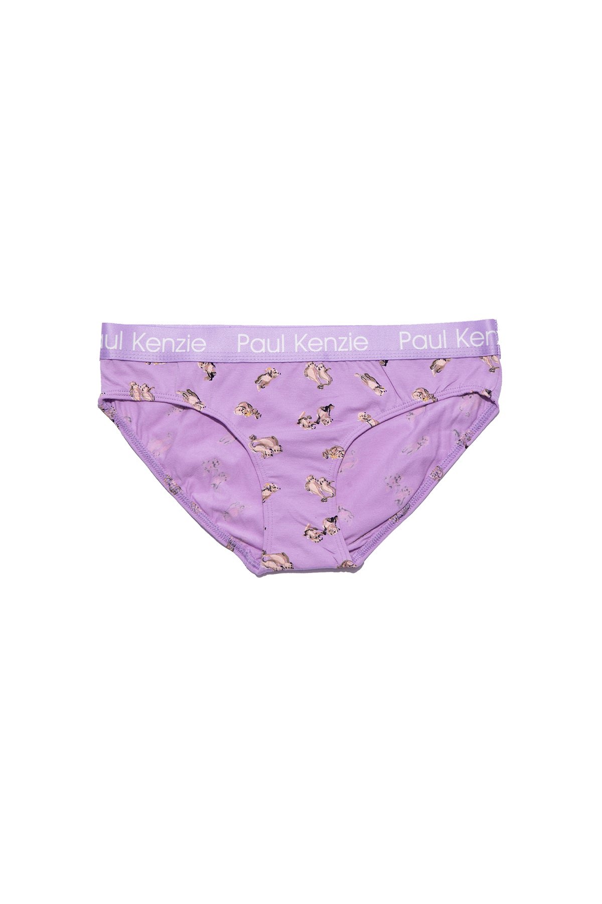 Desenli Kadın Slip Külot - Otter