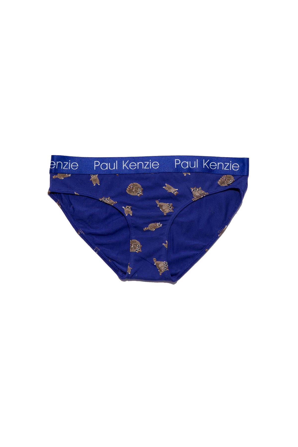 Desenli Kadın Slip Külot - Rakun