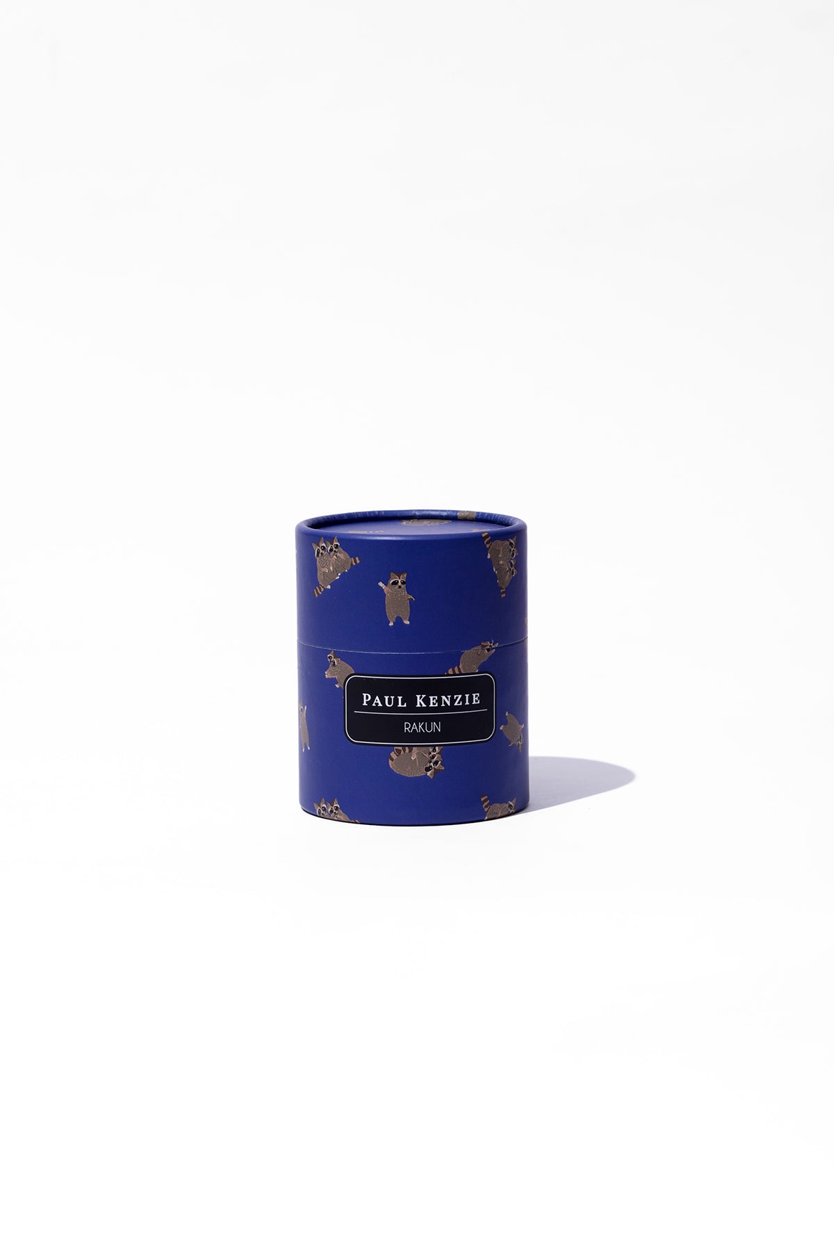 Desenli Kadın String Külot - Rakun