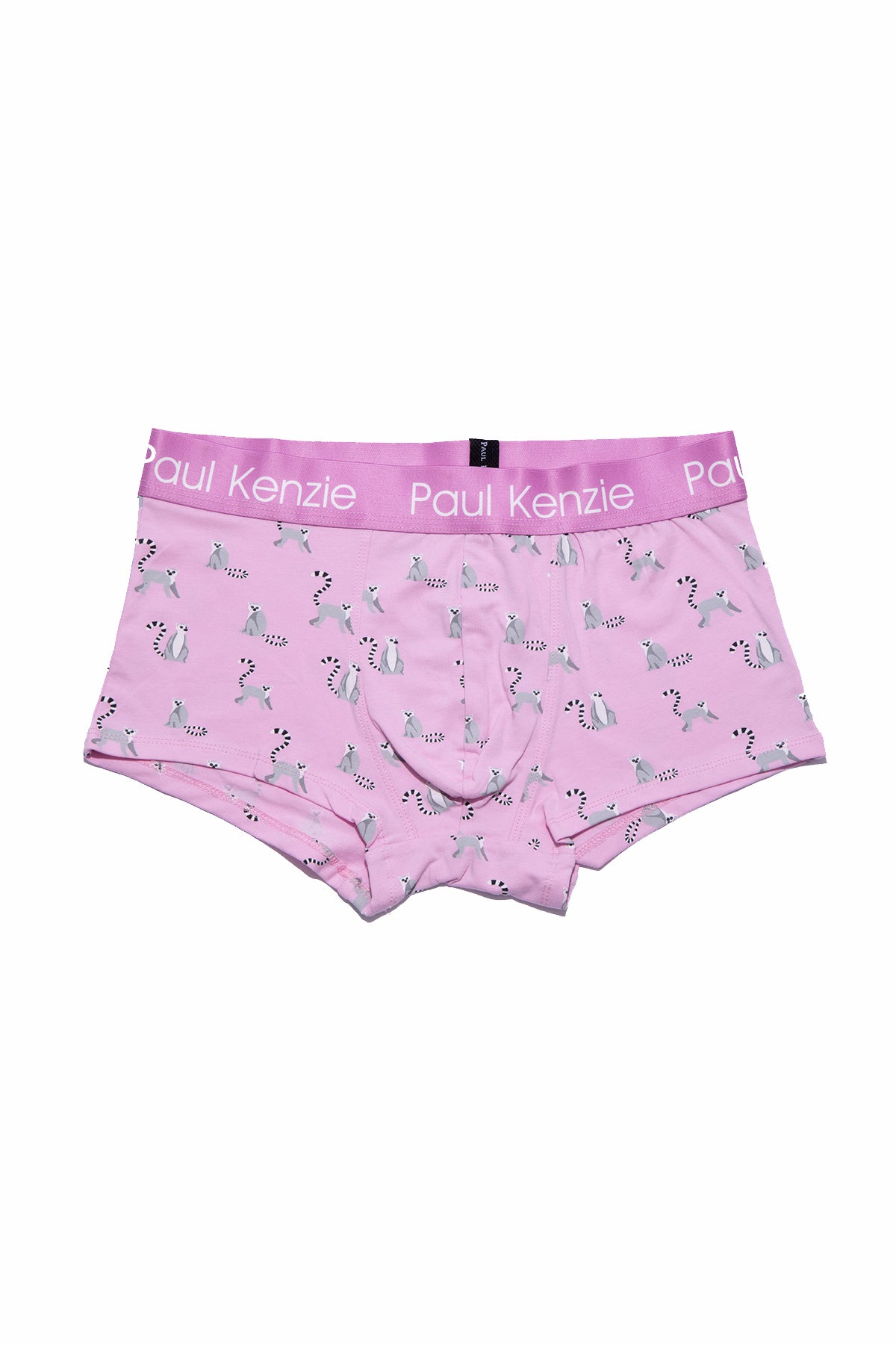 Erkek Trunk Boxer - Lemur