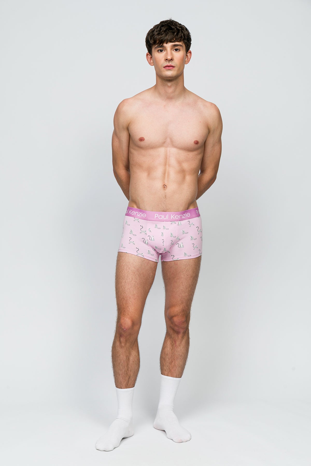 Erkek Trunk Boxer - Lemur