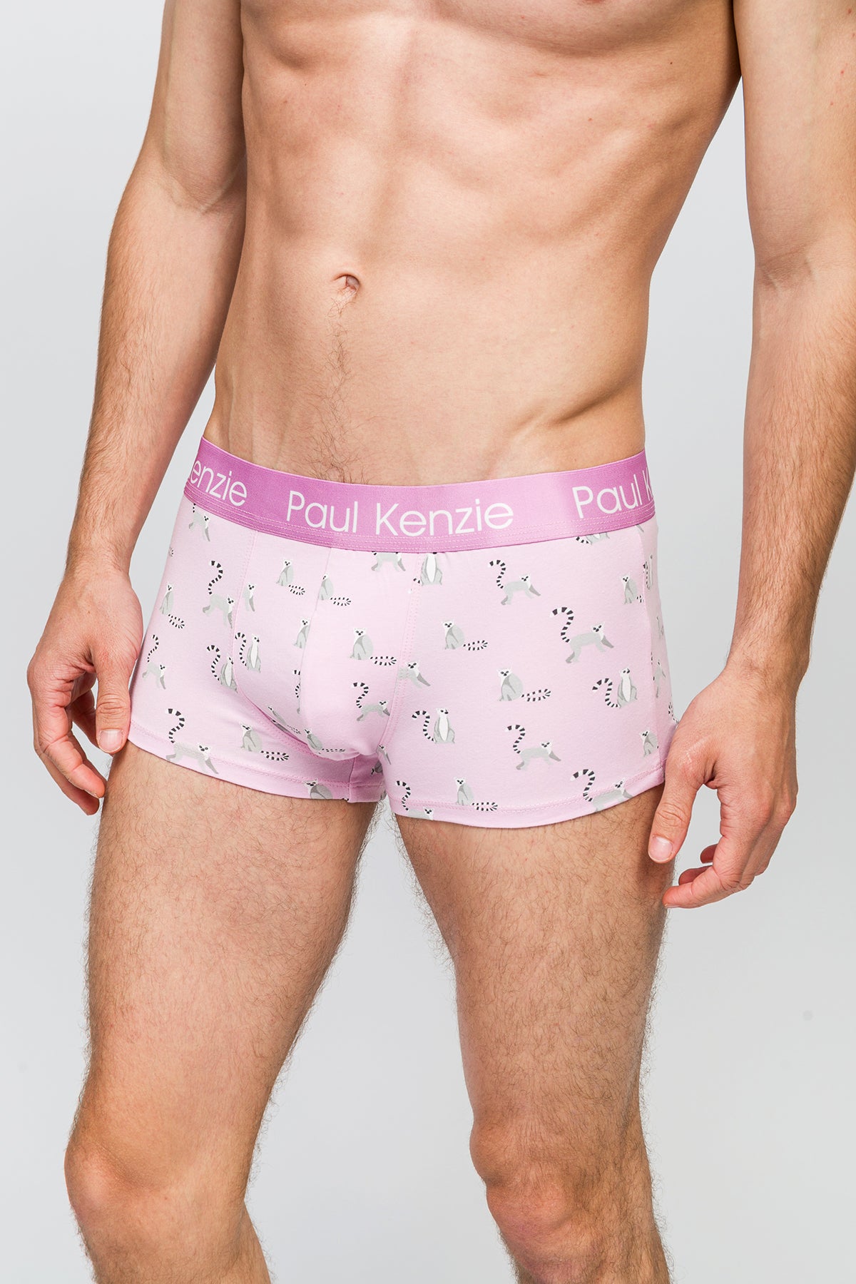 Erkek Trunk Boxer - Lemur