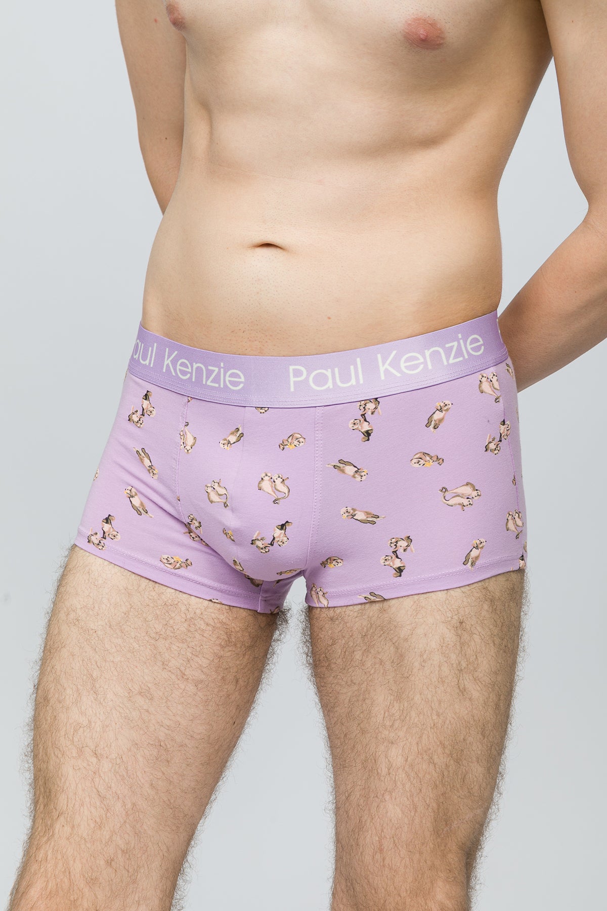 Erkek Trunk Boxer - Otter