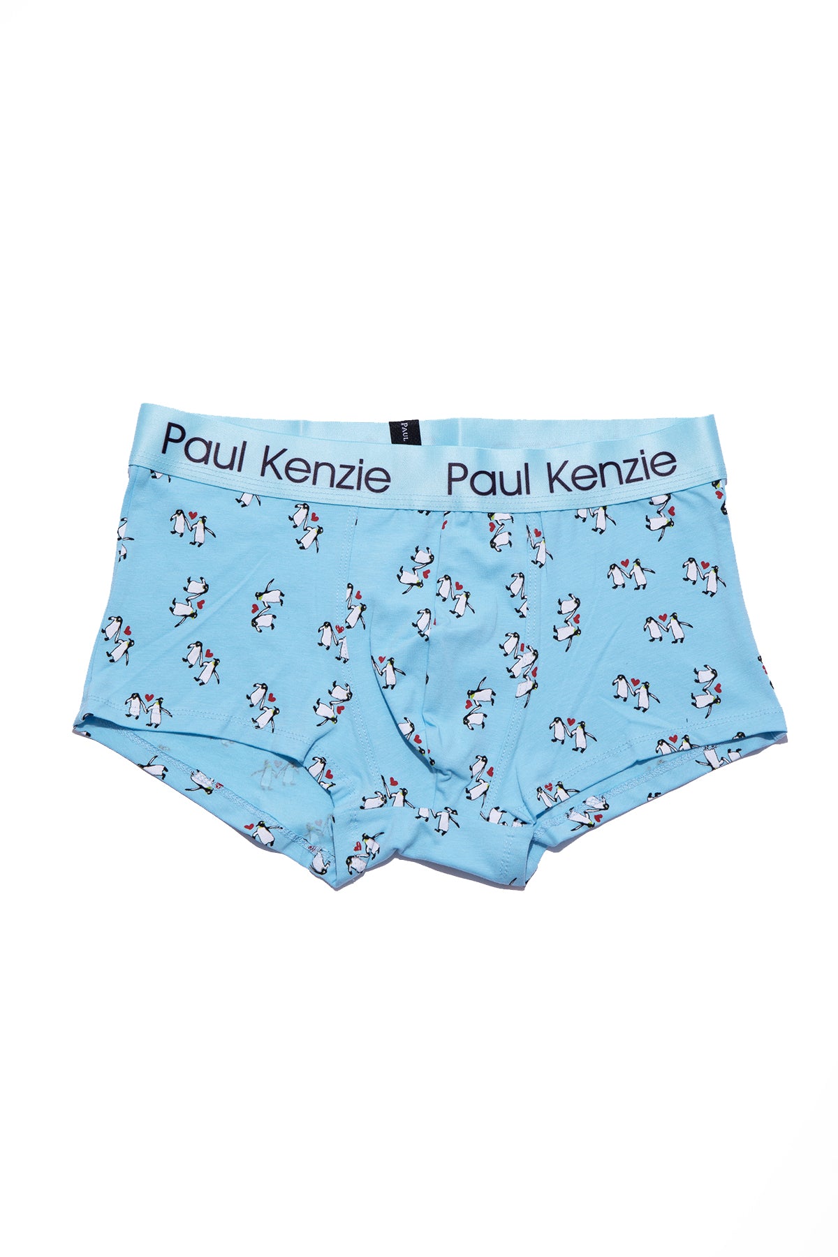 Erkek Trunk Boxer - Penguin Love