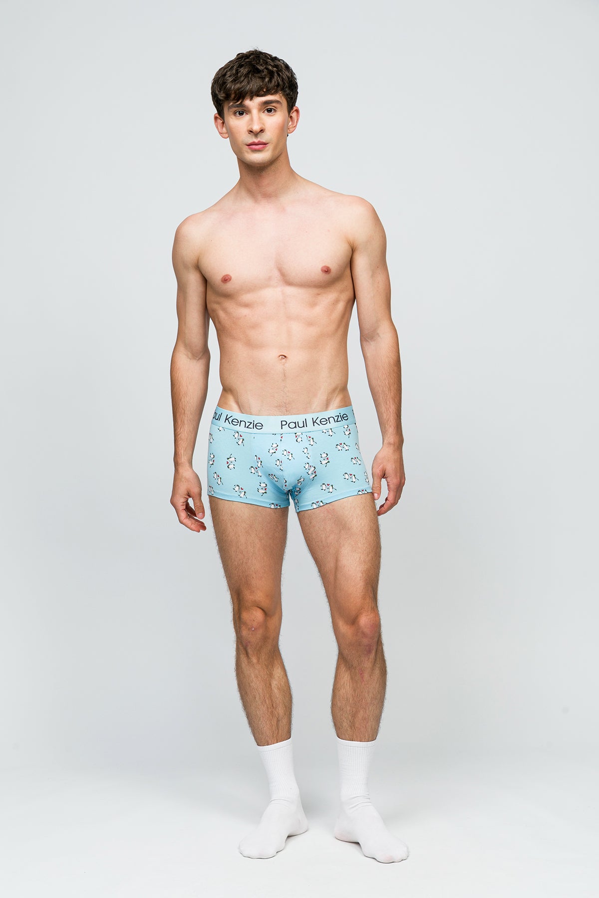 Erkek Trunk Boxer - Penguin Love