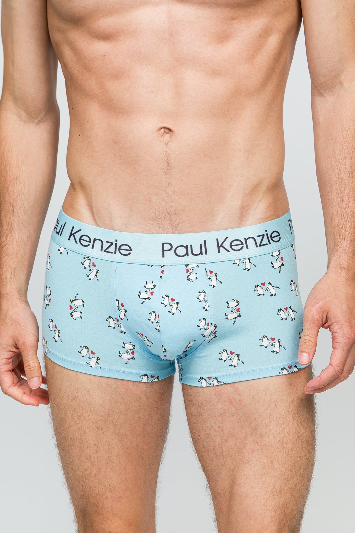 Erkek Trunk Boxer - Penguin Love