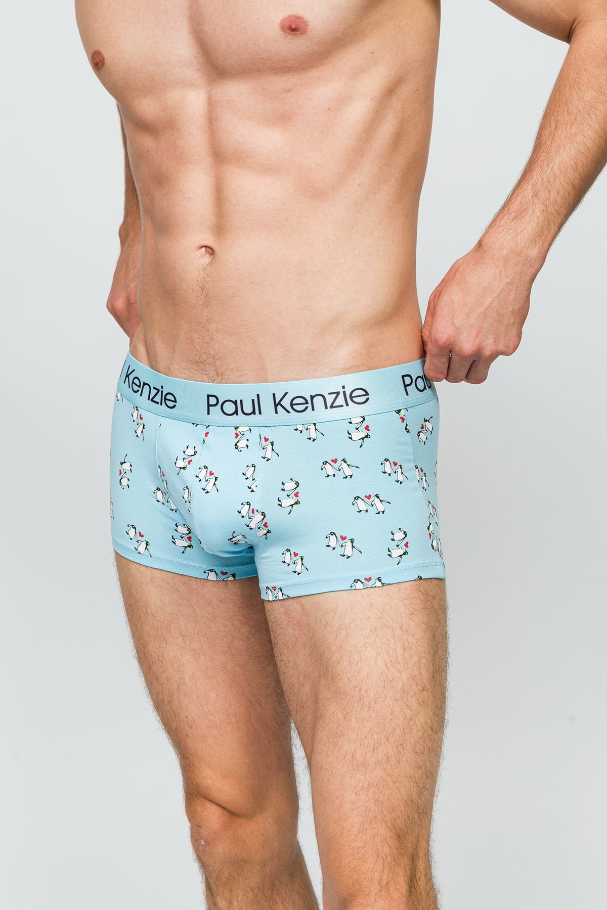 Erkek Trunk Boxer - Penguin Love