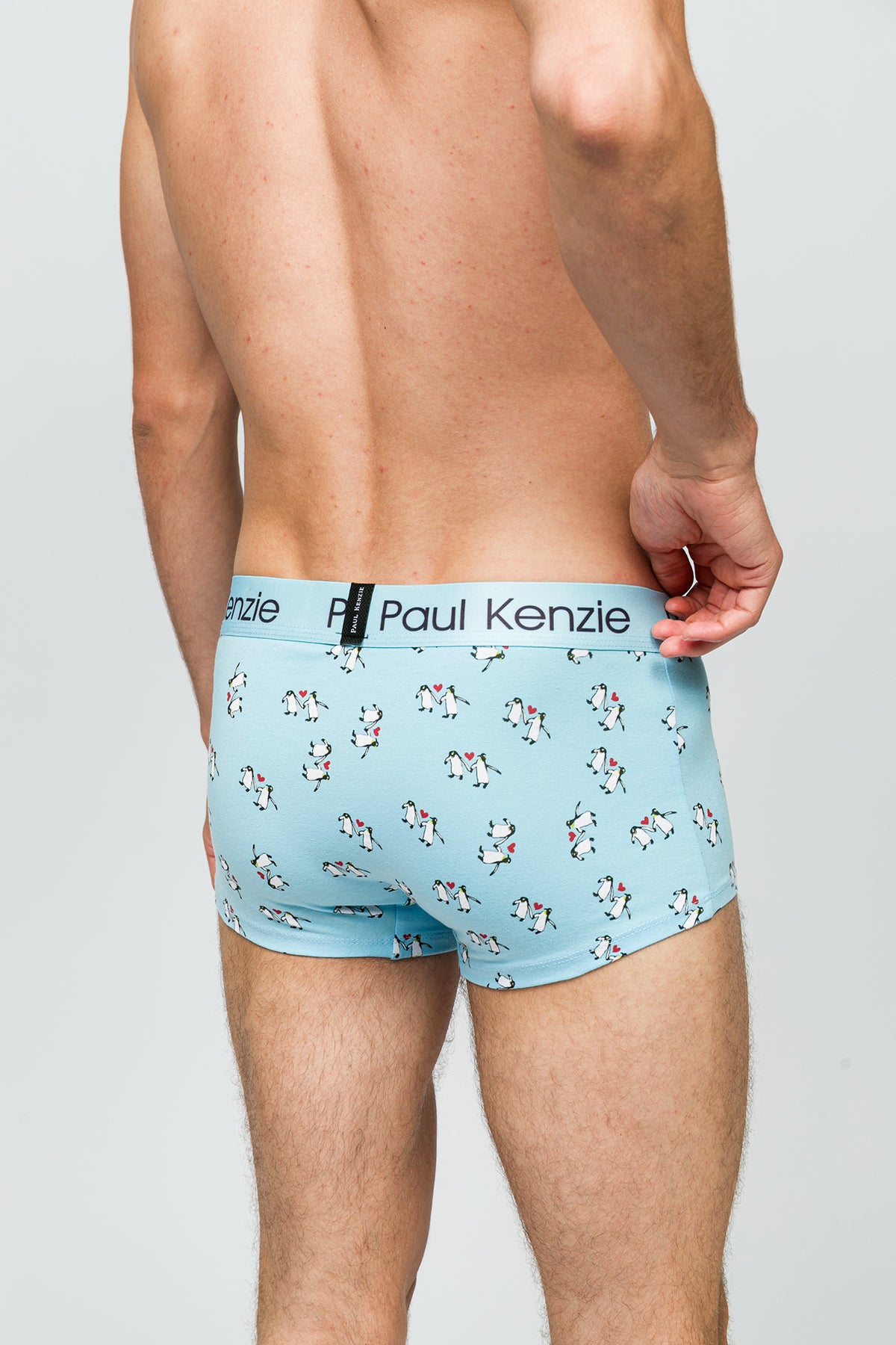 Erkek Trunk Boxer - Penguin Love – Paul Kenzie