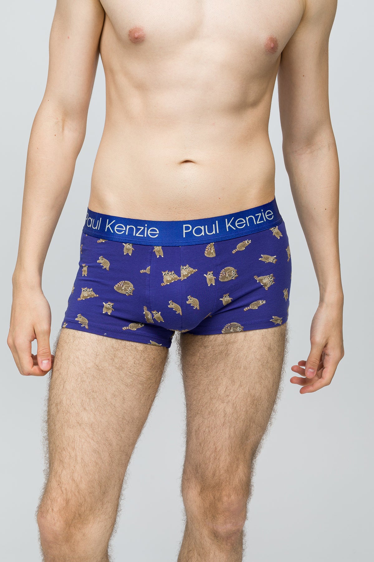 Erkek Trunk Boxer - Rakun