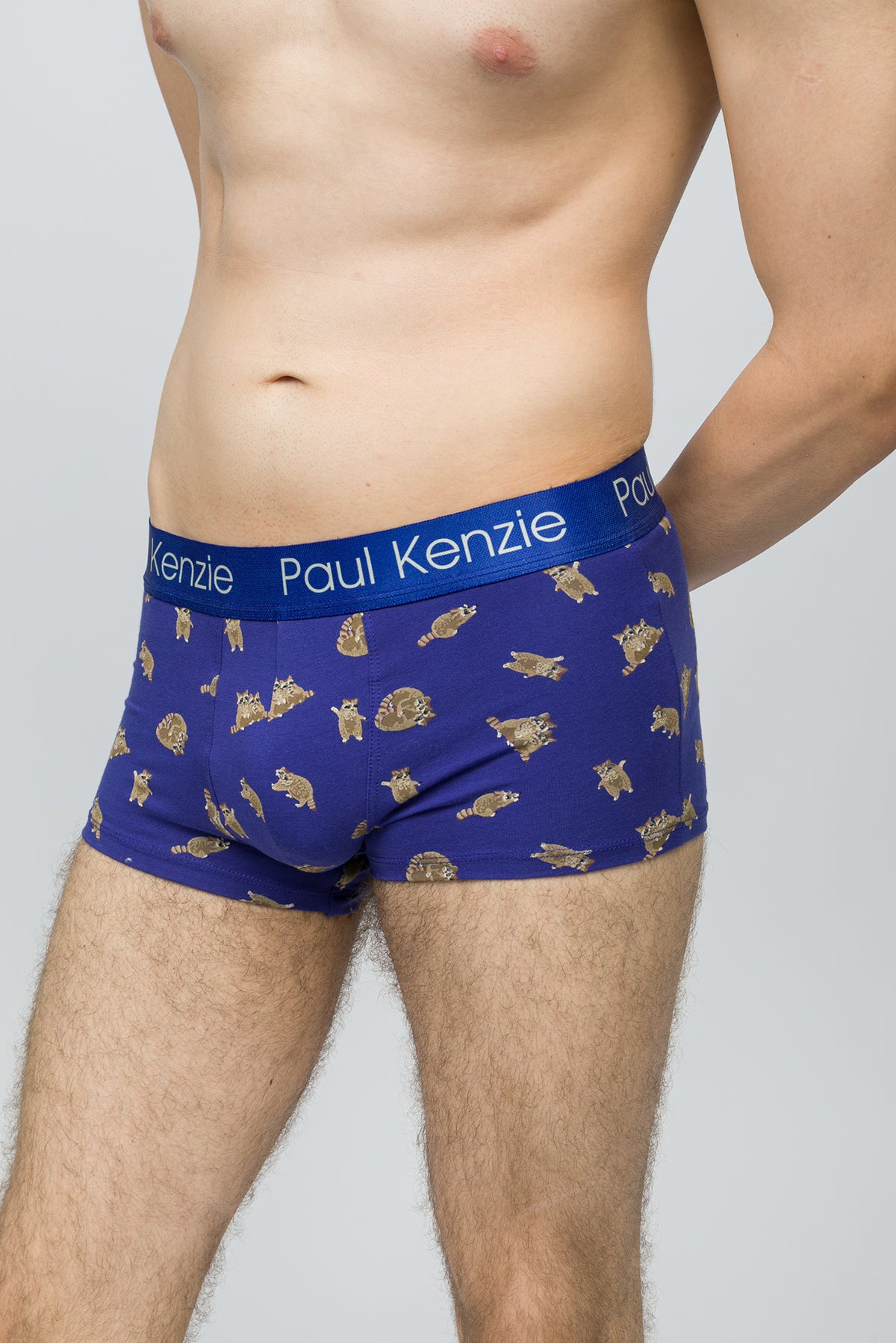 Erkek Trunk Boxer - Rakun