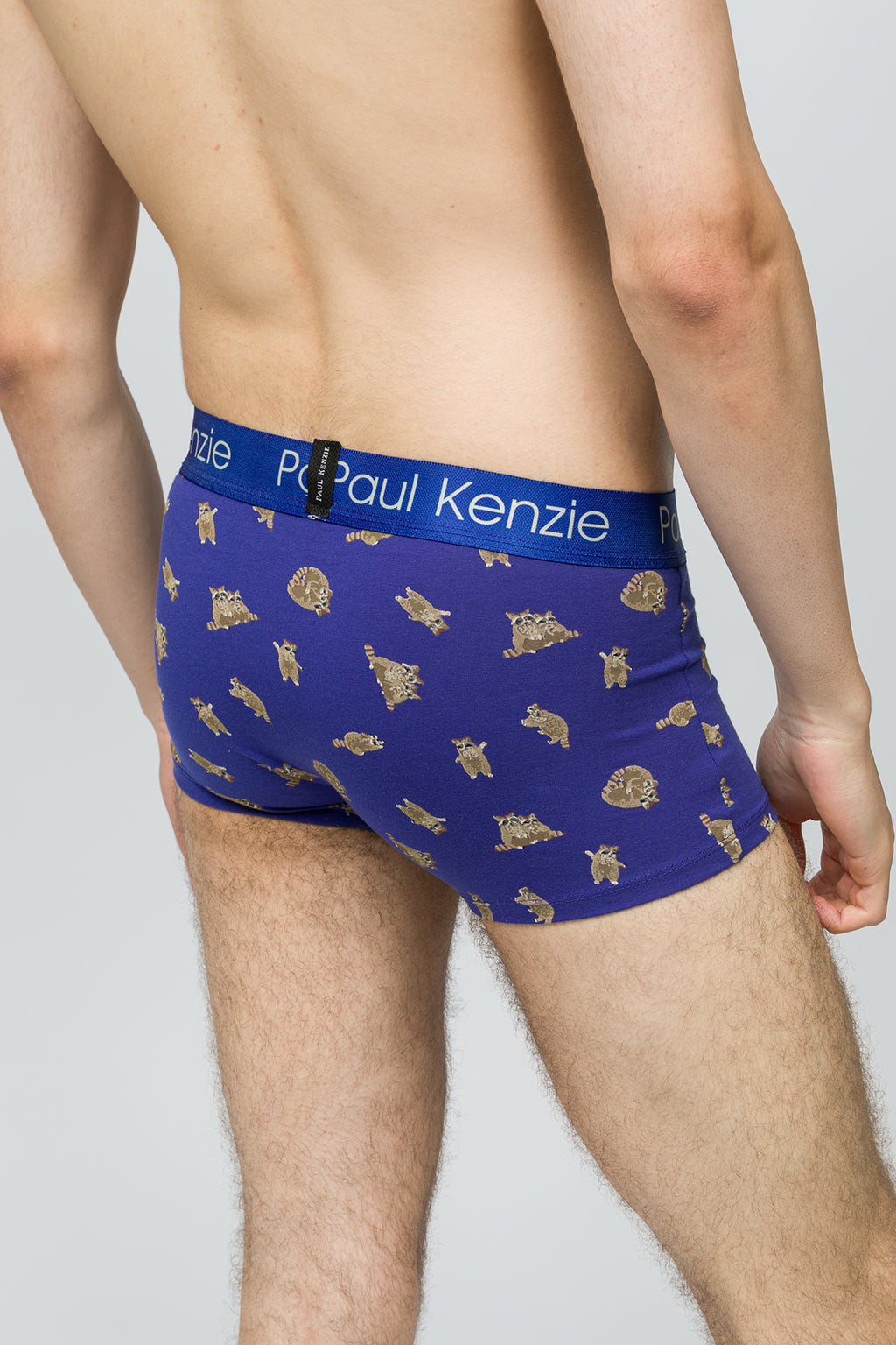 Erkek Trunk Boxer - Rakun