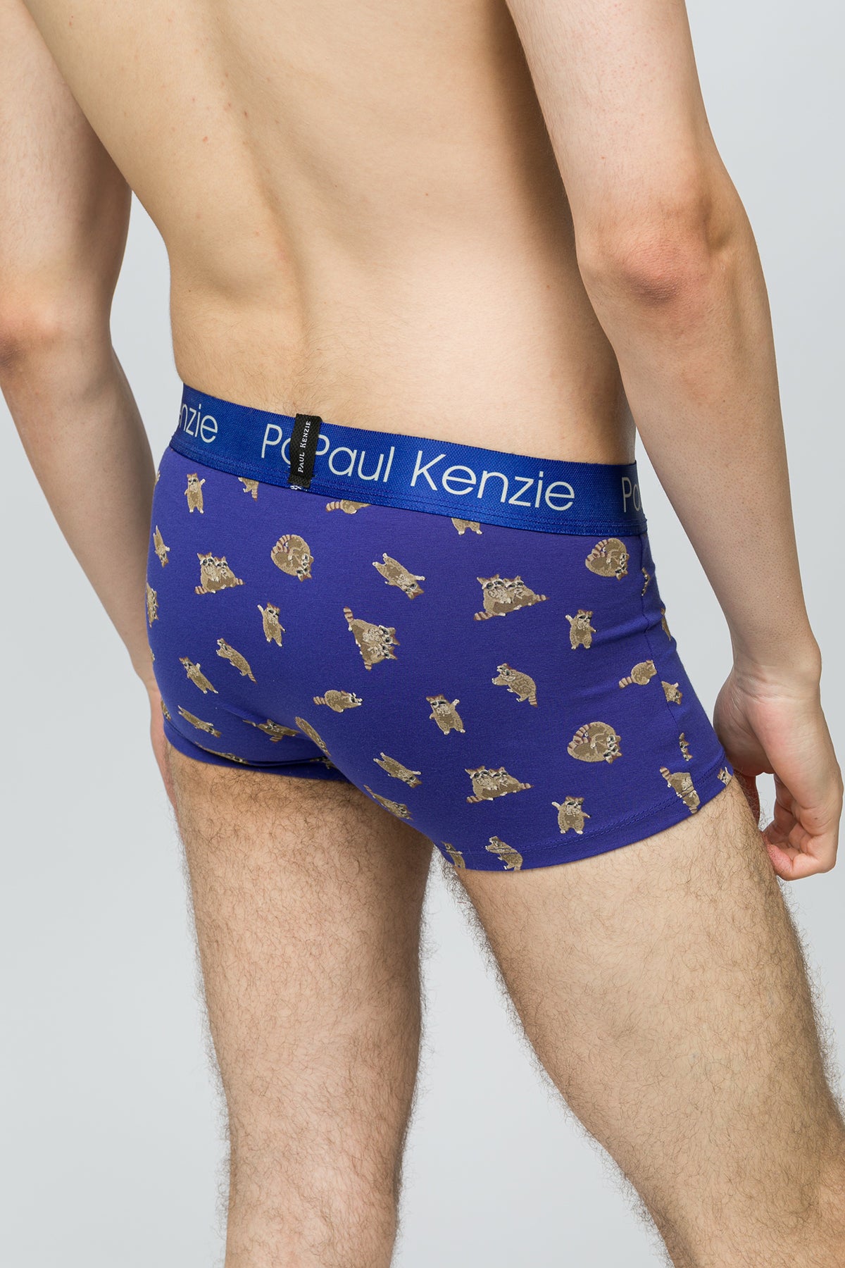 Erkek Trunk Boxer - Rakun