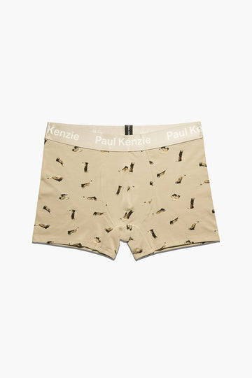 Paul Kenzie x Doğa Derneği - Desenli Erkek Boxer - Alaca Sansar
