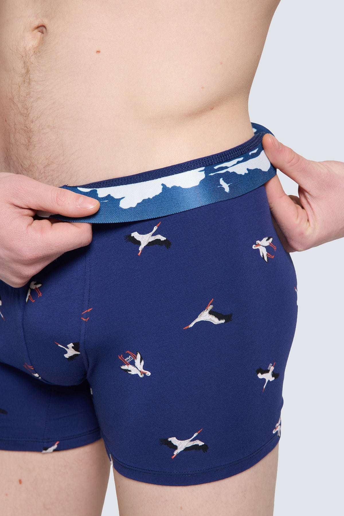 Paul Kenzie x Doğa Derneği - Desenli Erkek Boxer - Leylek