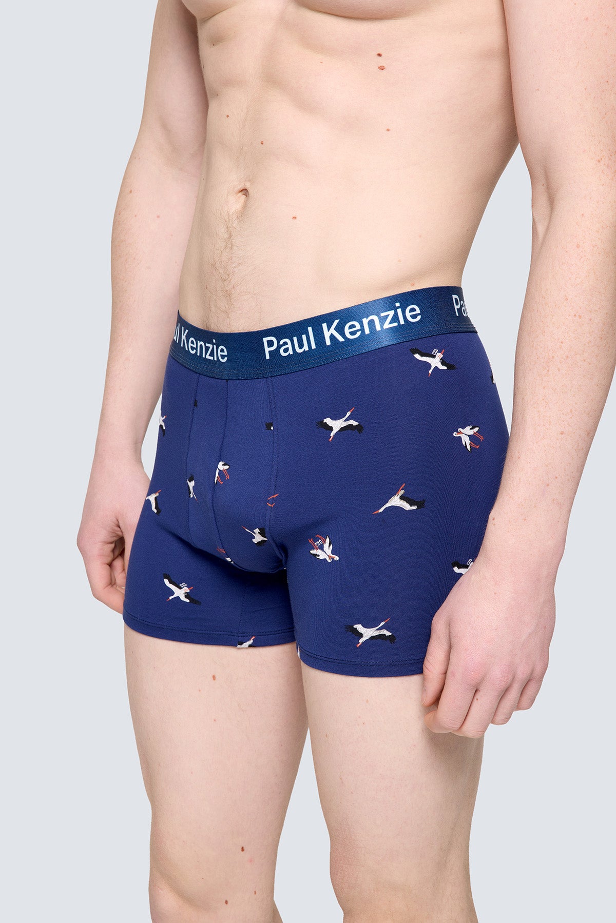 Paul Kenzie x Doğa Derneği - Desenli Erkek Boxer - Leylek