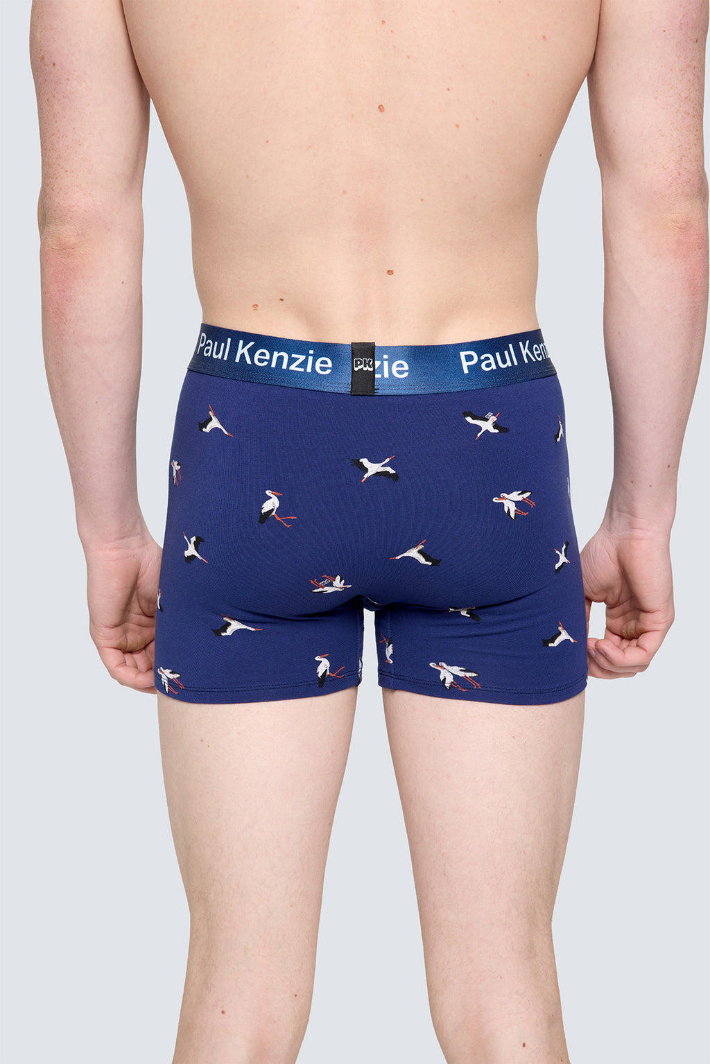 Paul Kenzie x Doğa Derneği Erkek Boxer - Leylek