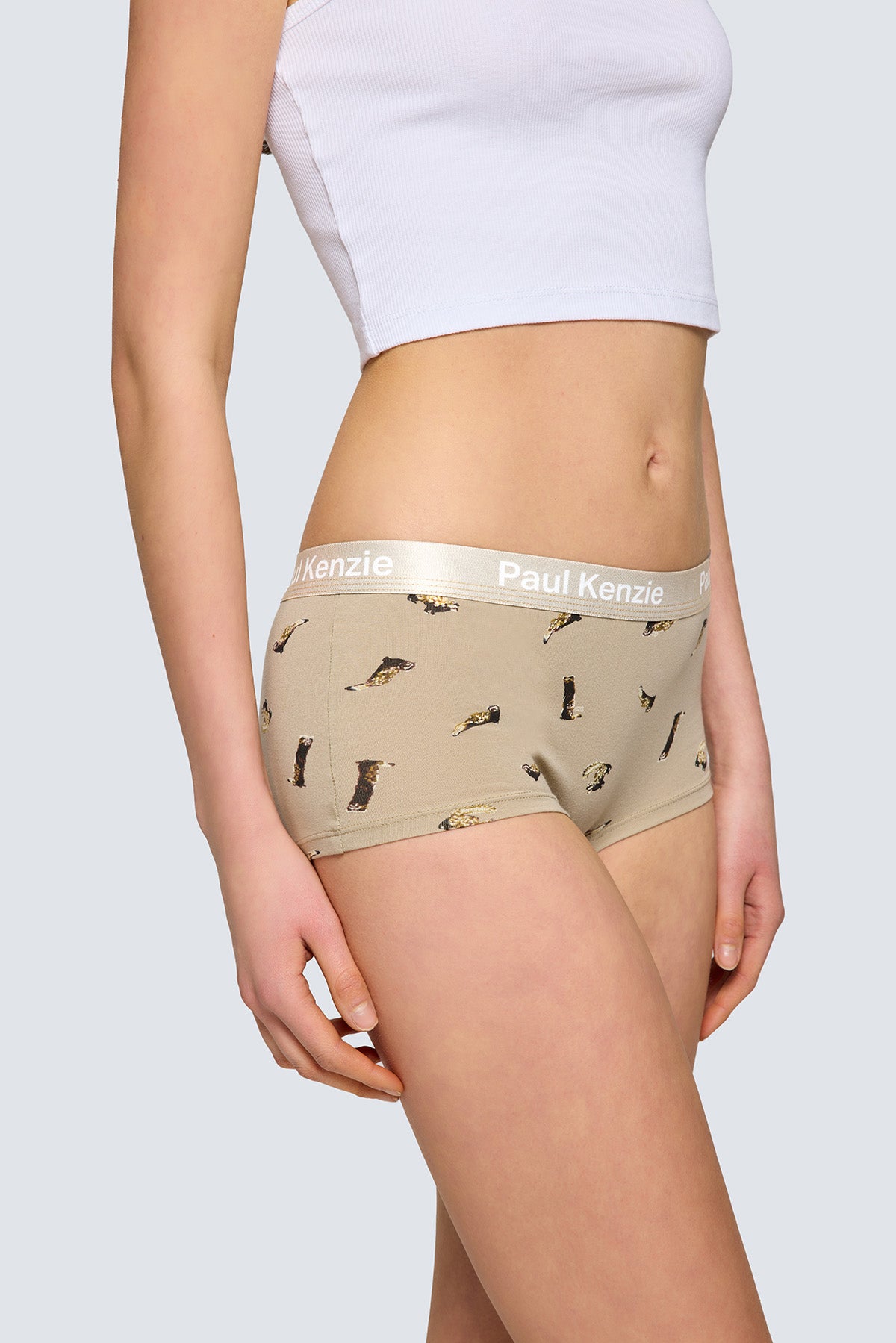 Paul Kenzie x Doğa Derneği - Desenli Kadın Boyshort Külot - Alaca Sansar