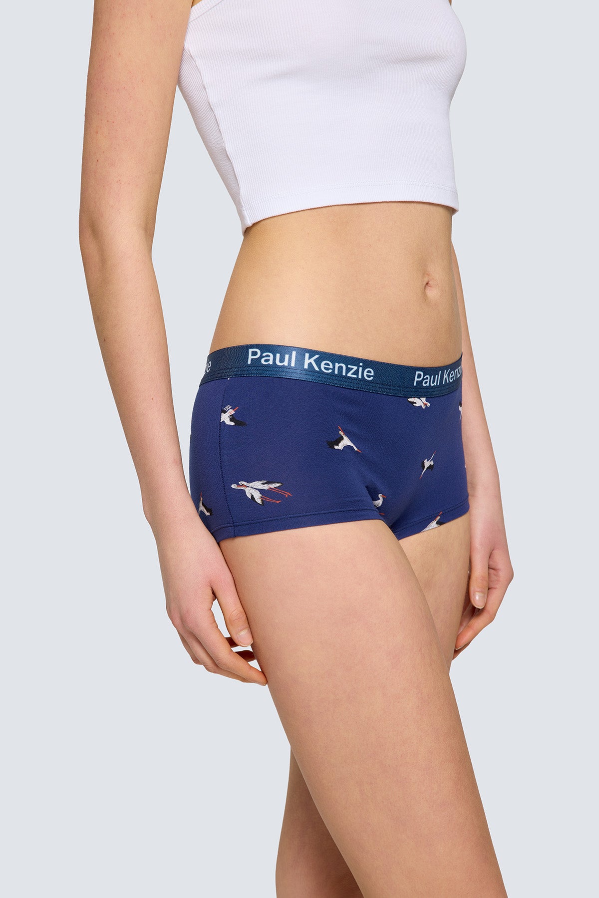 Paul Kenzie x Doğa Derneği Kadın Boyshort Külot - Leylek