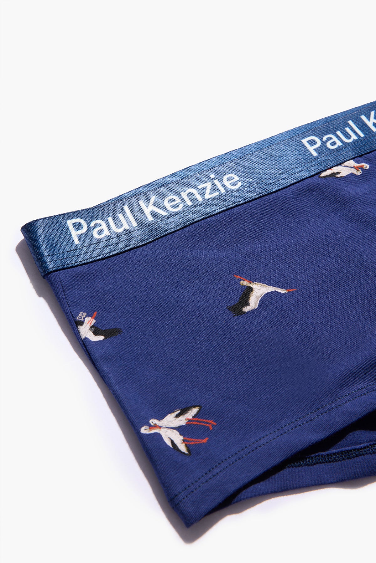Paul Kenzie x Doğa Derneği Kadın Boyshort Külot - Leylek