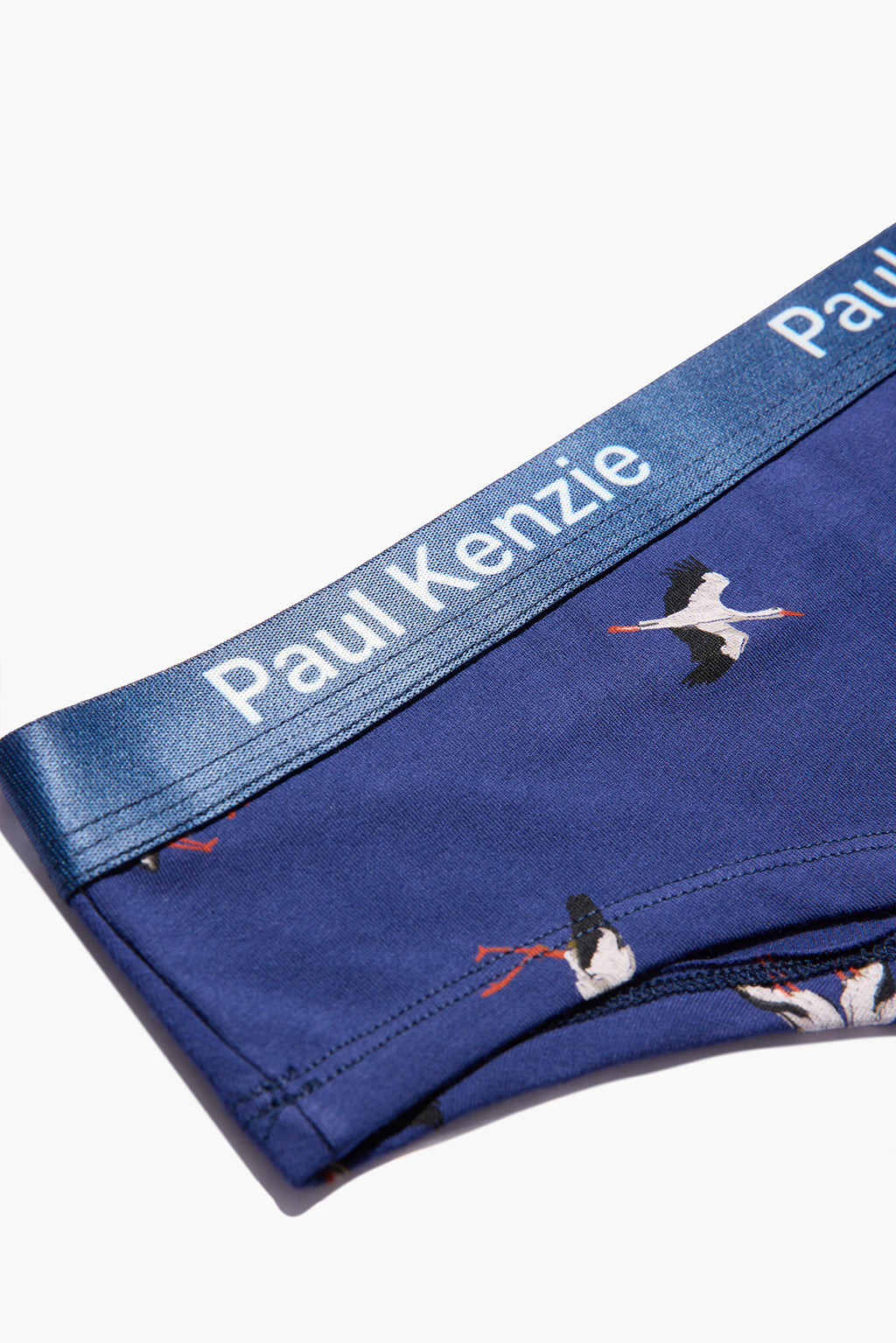 Paul Kenzie x Doğa Derneği Kadın Cheeky Külot - Leylek