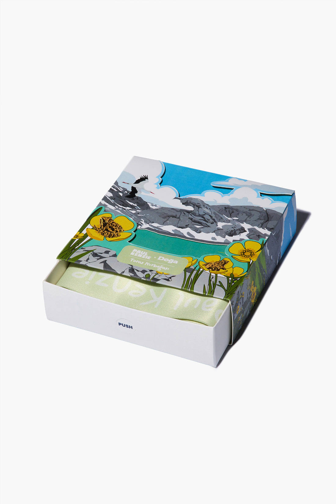 Paul Kenzie x Doğa Derneği - Desenli Kadın Cheeky Külot - Toros Kurbağası