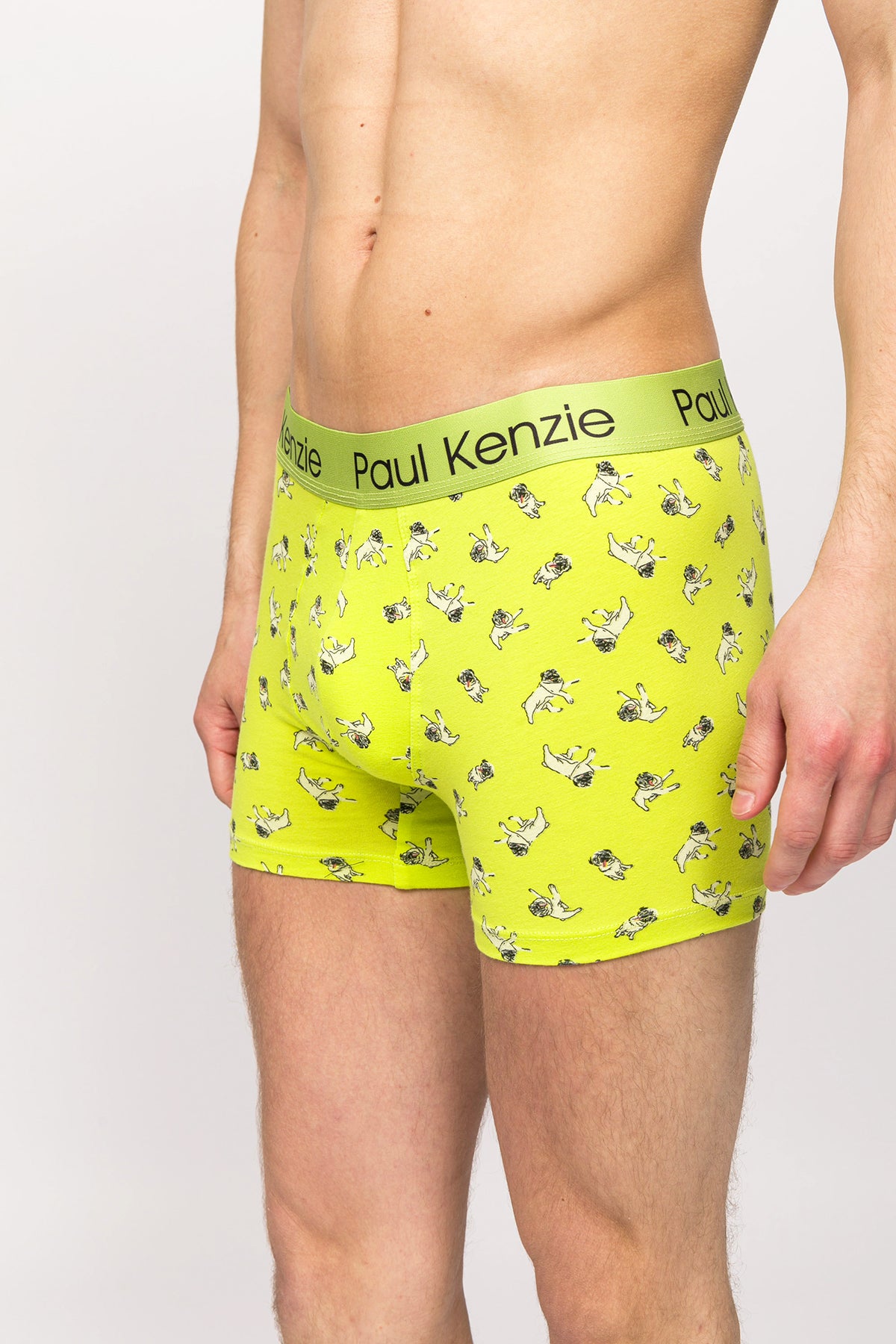 Paul Kenzie x Kurtaran Ev - Desenli Erkek Boxer - Dani