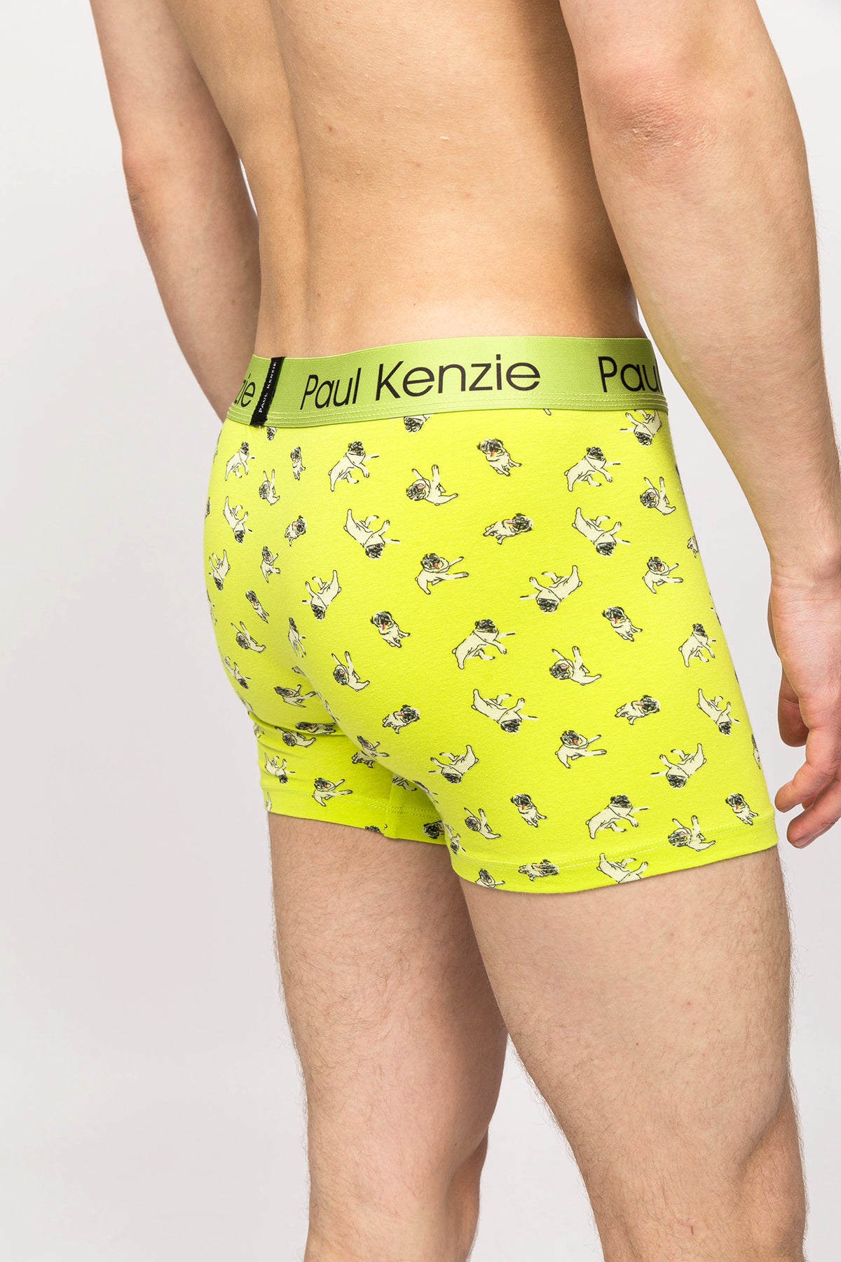 Paul Kenzie x Kurtaran Ev - Desenli Erkek Boxer - Dani