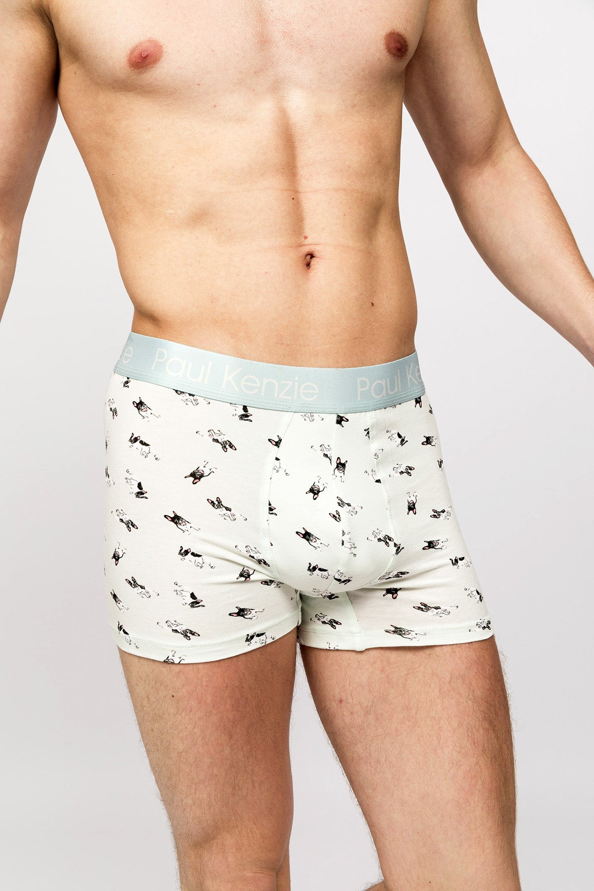 Paul Kenzie x Kurtaran Ev - Desenli Erkek Boxer - Frenchie