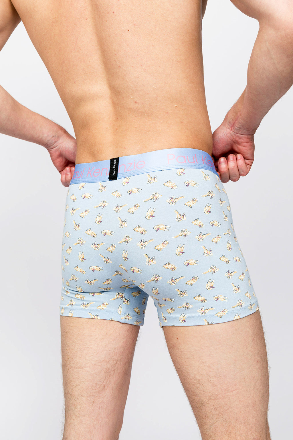 Paul Kenzie x Kurtaran Ev - Desenli Erkek Boxer - Poppy