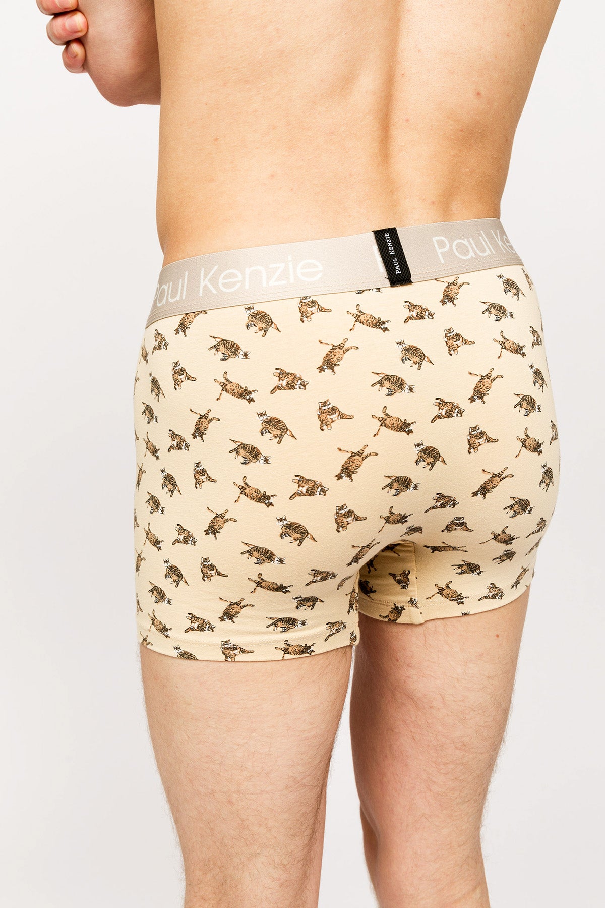 Paul Kenzie x Kurtaran Ev - Desenli Erkek Boxer - Tombili