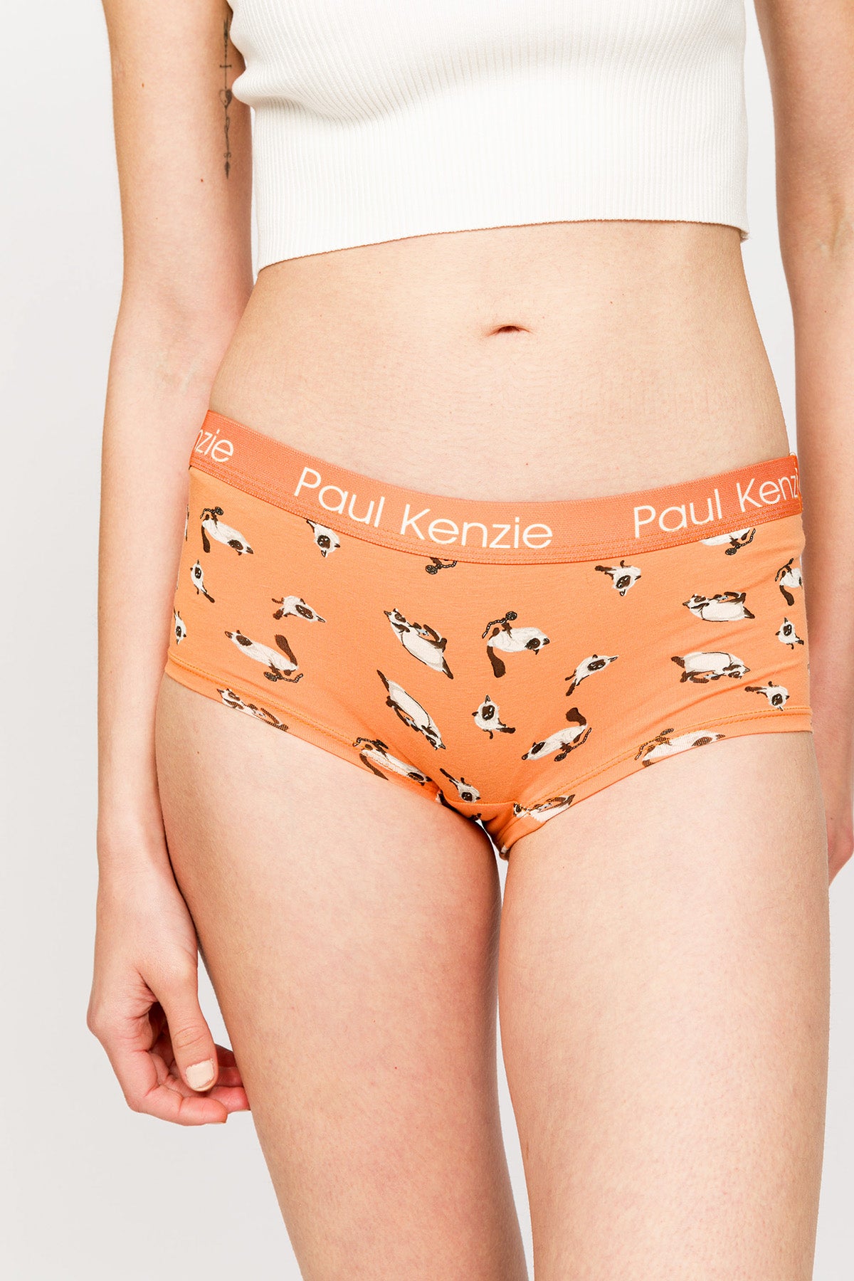 Paul Kenzie x Kurtaran Ev - Desenli Kadın Boyshort Külot - Siyam