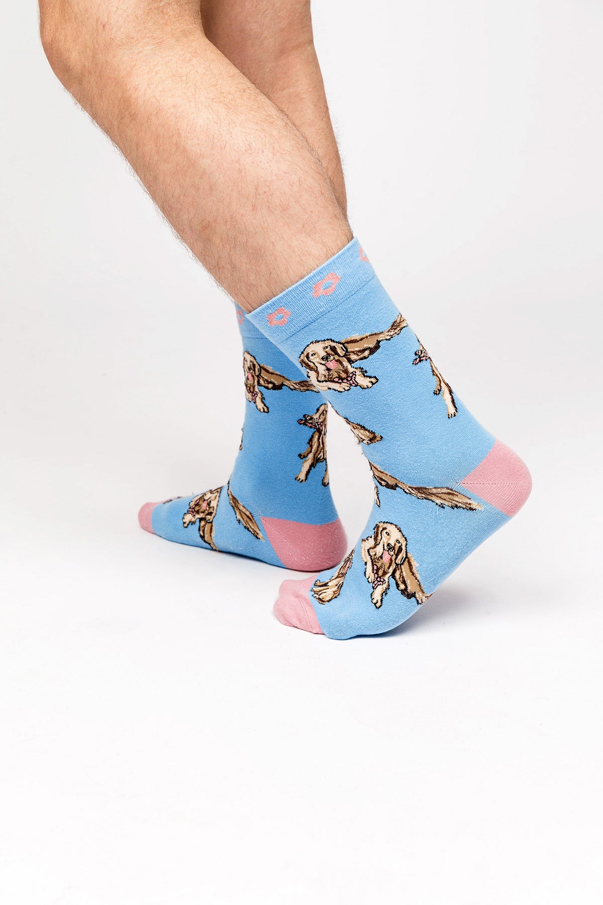 Paul Kenzie x Kurtaran Ev - Unisex Çorap - Poppy