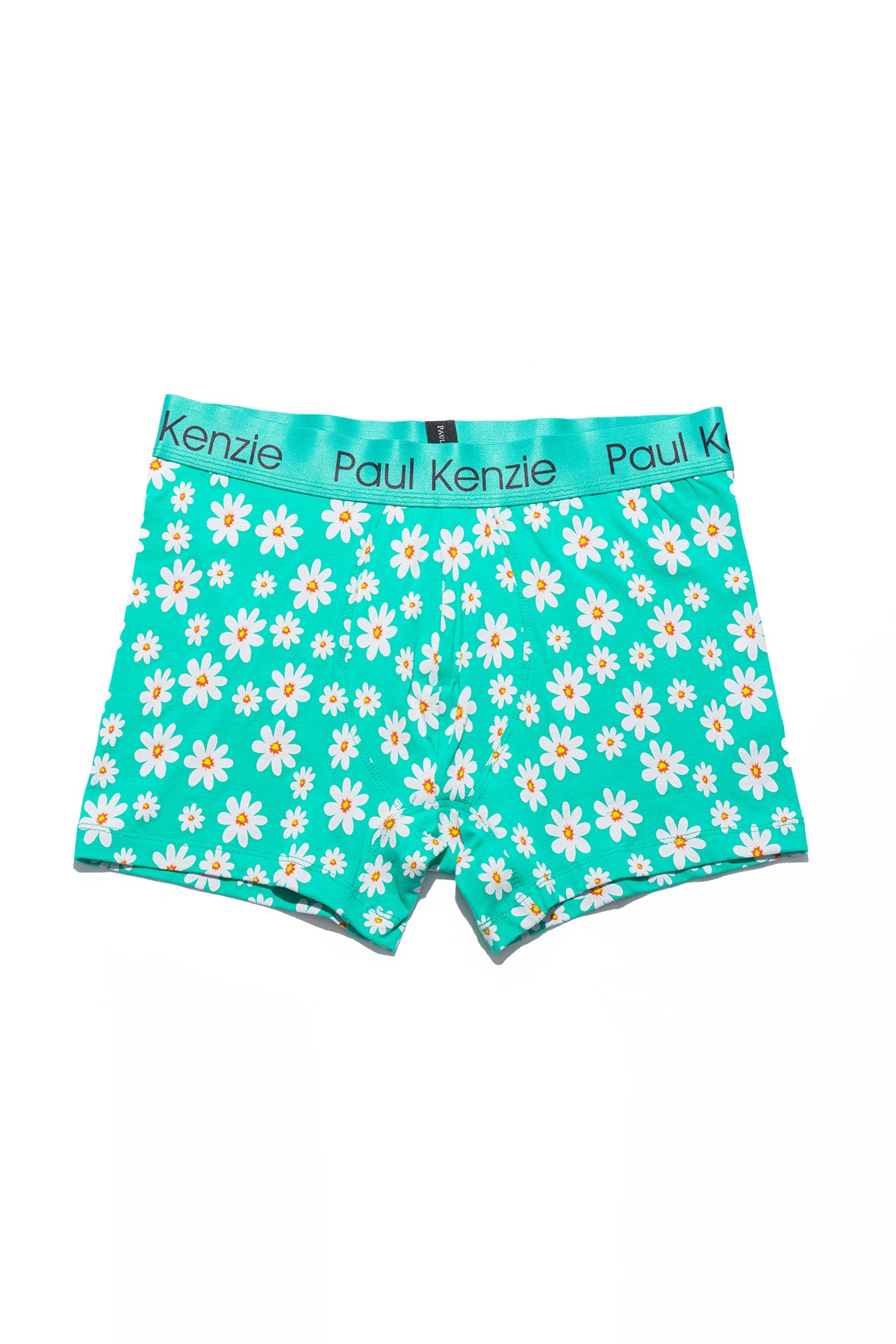 Desenli Erkek Boxer - Couple Collection Daisy – Paul Kenzie