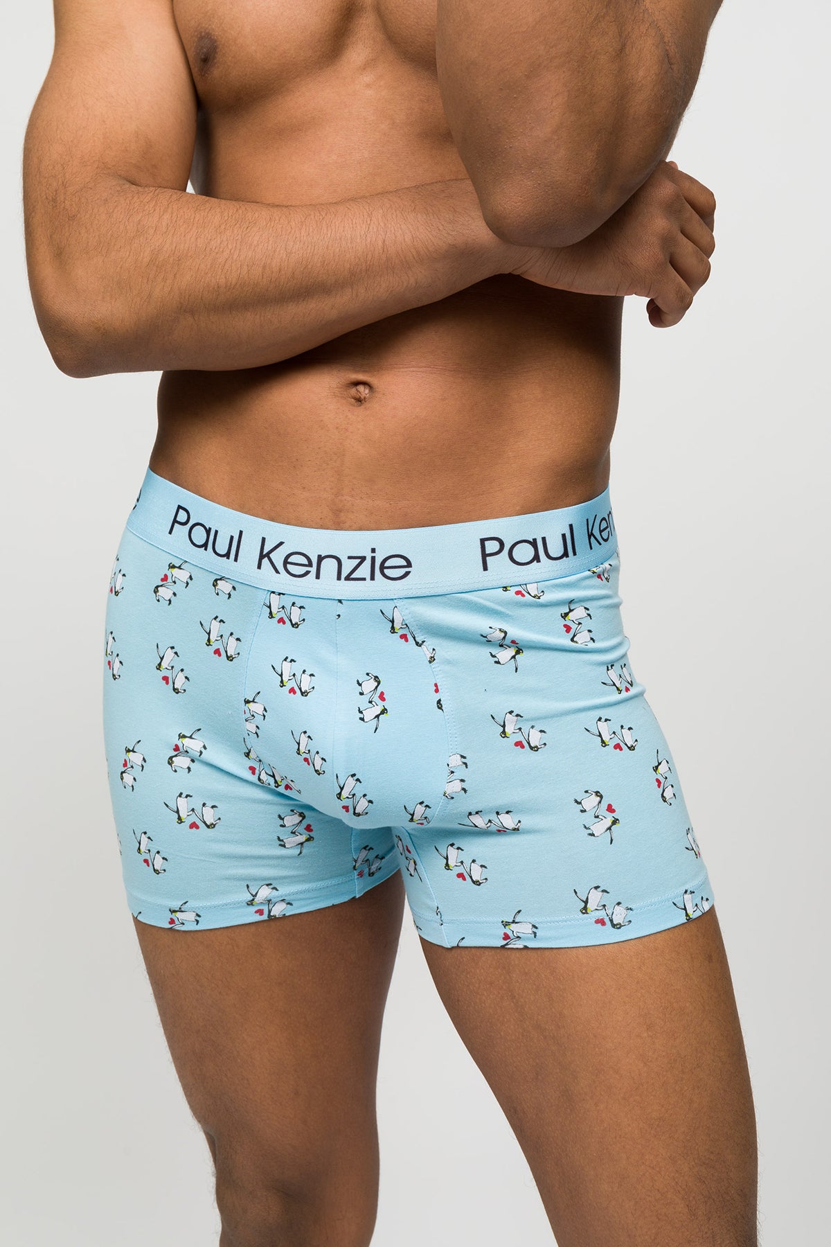 Erkek Boxer - Couple Collection Penguin Love