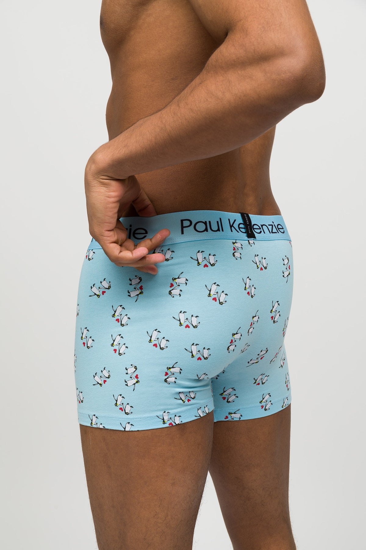 Desenli Erkek Boxer - Couple Collection Penguin Love